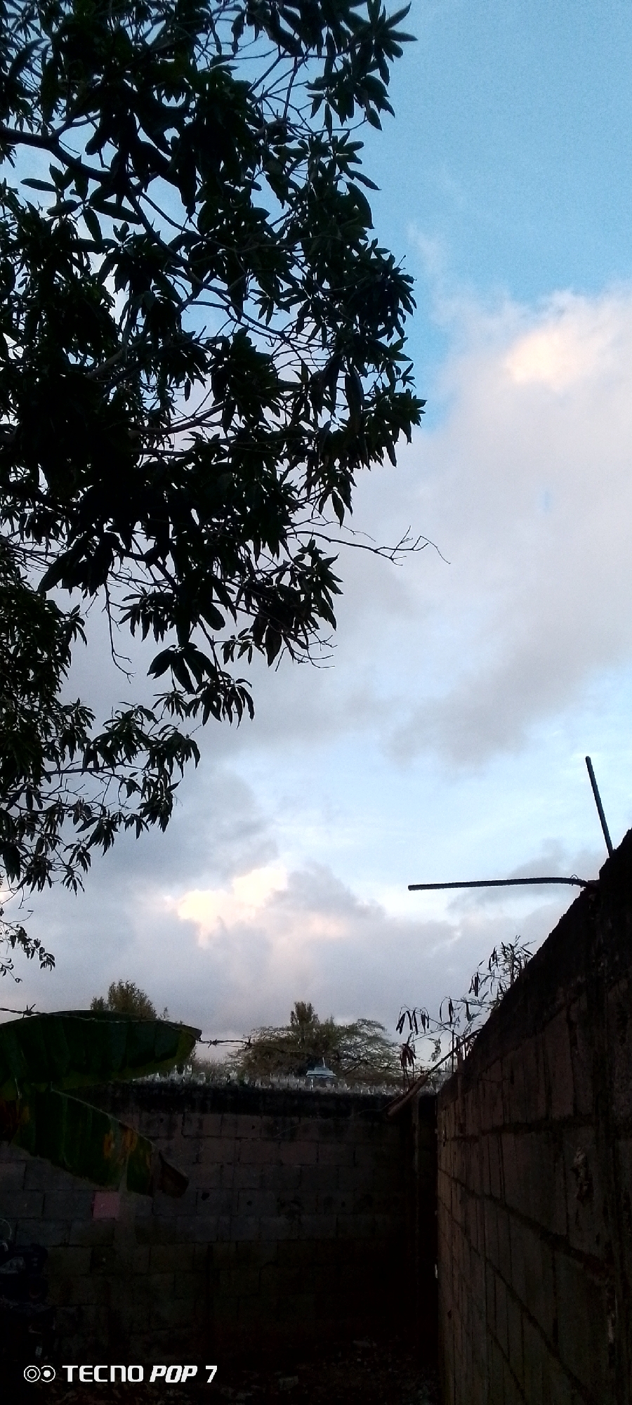The image shows a view of the sky with clouds through the foliage of a tree. Below the sky and tree, there is a view of a wall topped with barbed wire and what appears to be broken glass for security. Vegetation is visible behind the wall. The image was taken in Altagracia, Venezuela, based on the device’s location stamp. No people are visible in the image.