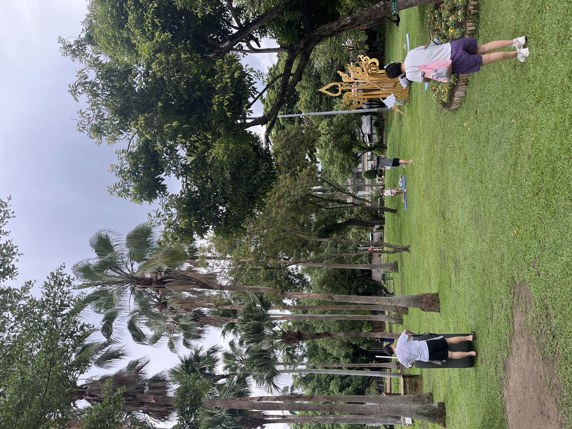 The image depicts a park scene in Chiang Mai City Municipality, Thailand, under an overcast sky. A group of people are engaged in outdoor activities on a lush green lawn. In the foreground, a person wearing a white t-shirt and black shorts stands facing away from the camera, holding a large, dark gray cylindrical object. To their right, another person in purple shorts and a white t-shirt carries a pink tote bag and a rolled-up mat.
Further back in the park, several other individuals are present. Two people are on yoga mats, one lying down and another in a standing pose. Another person, dressed in a gray t-shirt and black shorts, stands near a yoga mat. A decorative golden structure, possibly an art installation or religious artifact, is visible on the right side of the frame, surrounded by a flower bed.
The park is populated with numerous palm trees of varying heights, interspersed with other types of trees and foliage, creating a dense, tropical environment. In the background, buildings can be seen through the trees, suggesting the park is located within a city. The ground is covered with well-maintained grass, with some patches of exposed soil. The overall atmosphere is serene, with people participating in recreational activities in a natural setting.