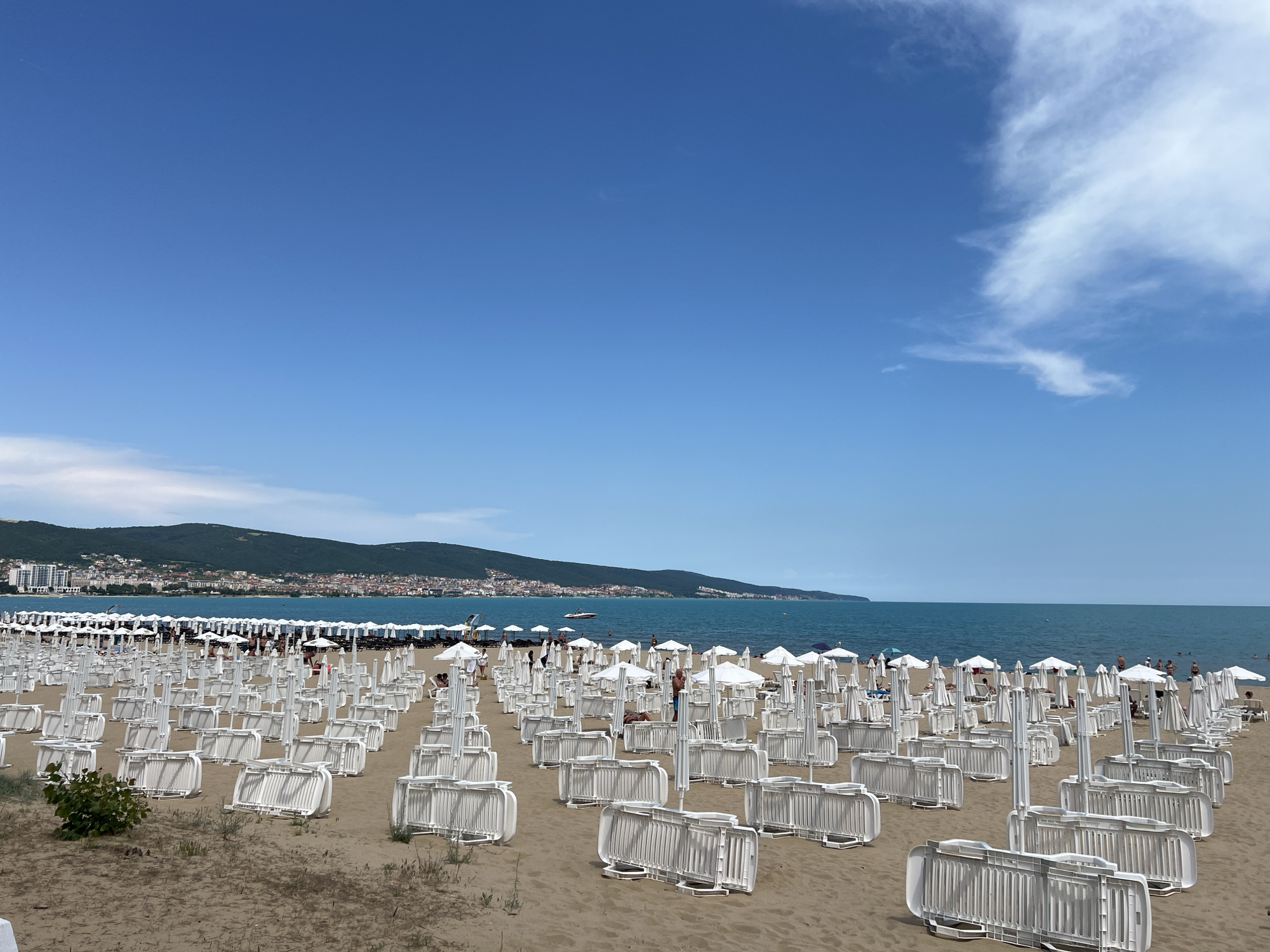 The image depicts a wide-angle view of a sandy beach in Nesebar, Bulgaria, under a clear blue sky with a few white clouds on the right. In the foreground and midground, numerous white plastic sunbeds are visible, mostly folded and arranged in parallel rows stretching into the distance. Behind these folded sunbeds, a section of the beach features erected white beach umbrellas with corresponding sunbeds, some of which are occupied by individuals. A small green bush is present on the sandy ground in the lower-left quadrant.
Beyond the beach, the calm, blue-green waters of the sea extend horizontally. Several individuals are visible wading or swimming in the water. In the mid-distance across the water, a low mountain range covered with green vegetation forms the backdrop for a coastal settlement featuring numerous buildings, indicating a town or city, consistent with the Nesebar municipality area. A single white motorboat is discernible on the water surface in front of the distant coastline. The scene suggests a busy resort environment, likely during peak season.