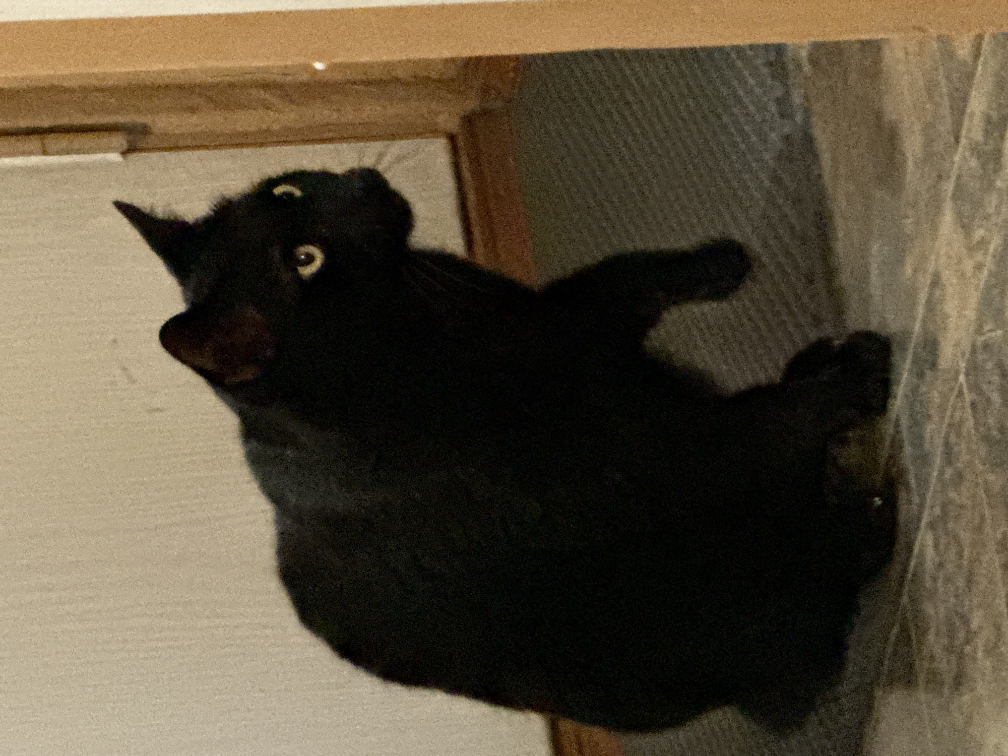 A black cat is sitting on a textured floor next to a doorway. The cat is facing to the right with its head turned towards the viewer. Its ears are pointed upwards, and its yellow eyes are open. The cat's front right paw is extended forward, appearing to be in motion. The background consists of a light-colored textured wall and a wooden doorway frame. The floor appears to be a combination of stone tiles and a darker textured mat. There are no people visible in the image. The scene is indoors, in what appears to be a domestic setting.