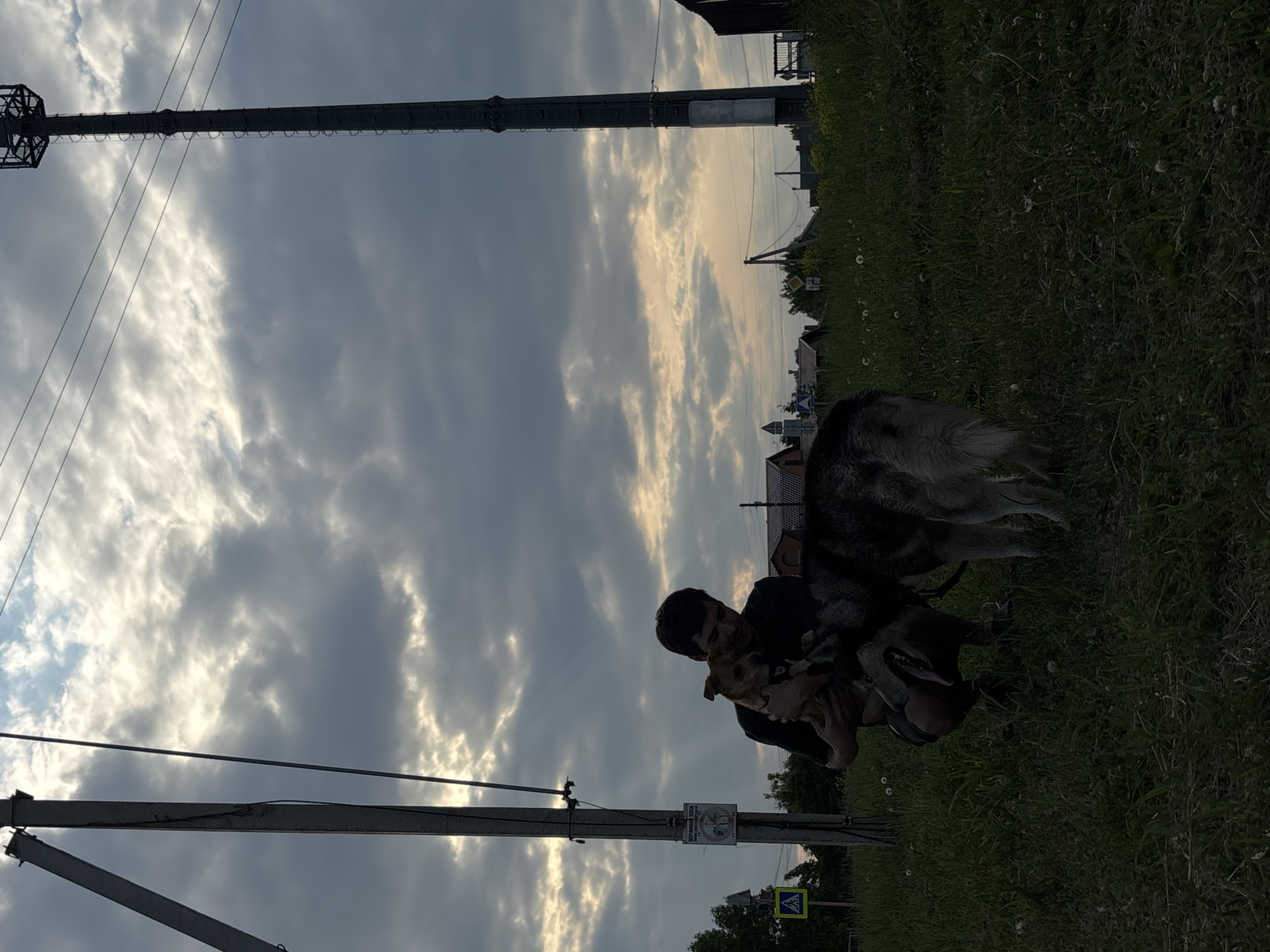 A man is squatting in a grassy area, holding a small tan dog. A larger husky-type dog stands beside him. The man is wearing a dark t-shirt and shorts. Behind them, to the left, is a utility pole with a sign and a pedestrian crossing sign. To the right is a tall cell tower. In the background, several houses with peaked roofs are visible, nestled amongst trees. The sky is cloudy with patches of sunlight breaking through, suggesting either early morning or late evening. The location is identified as Vishnevka, Russia.