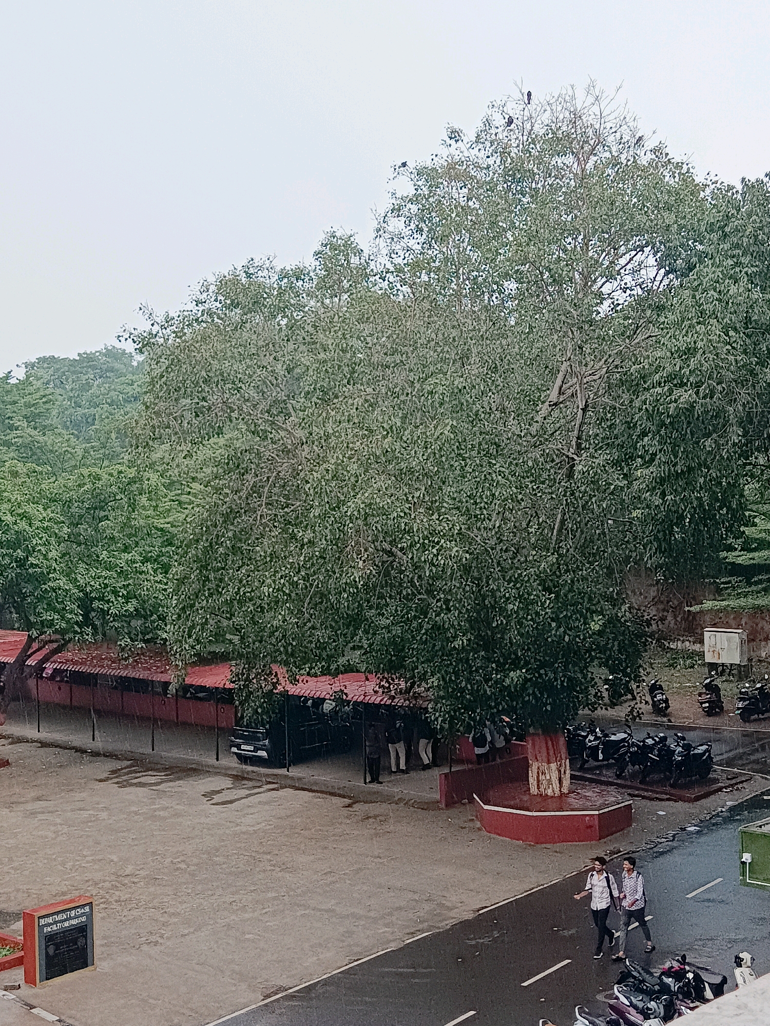 The image shows a view of an outdoor area with a large tree in the foreground. In the background, there are buildings with red roofs, a parking lot with several motorcycles, and a dense green forest. The sky is overcast. There are two young men walking on a wet road in the lower right portion of the image. A sign in the lower left corner of the image reads "DEPARTMENT OF CSE FACILITY CAR PARKING". The scene is likely a university campus or a similar institution in Visakhapatnam, India.
