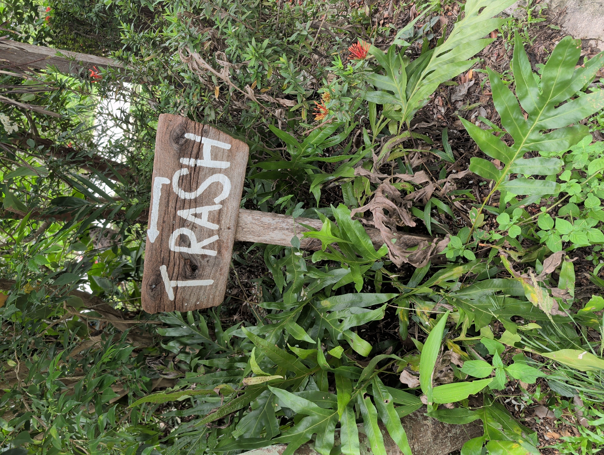 A wooden sign with "TRASH" painted in white is partially obscured by lush greenery in an outdoor setting. The sign appears rustic, with visible wood grain and imperfections. The vegetation includes various types of leaves and plants, suggesting a natural or garden environment. The location is likely in Moo 4, Thailand, as per the instructions. There are no people visible in the image.