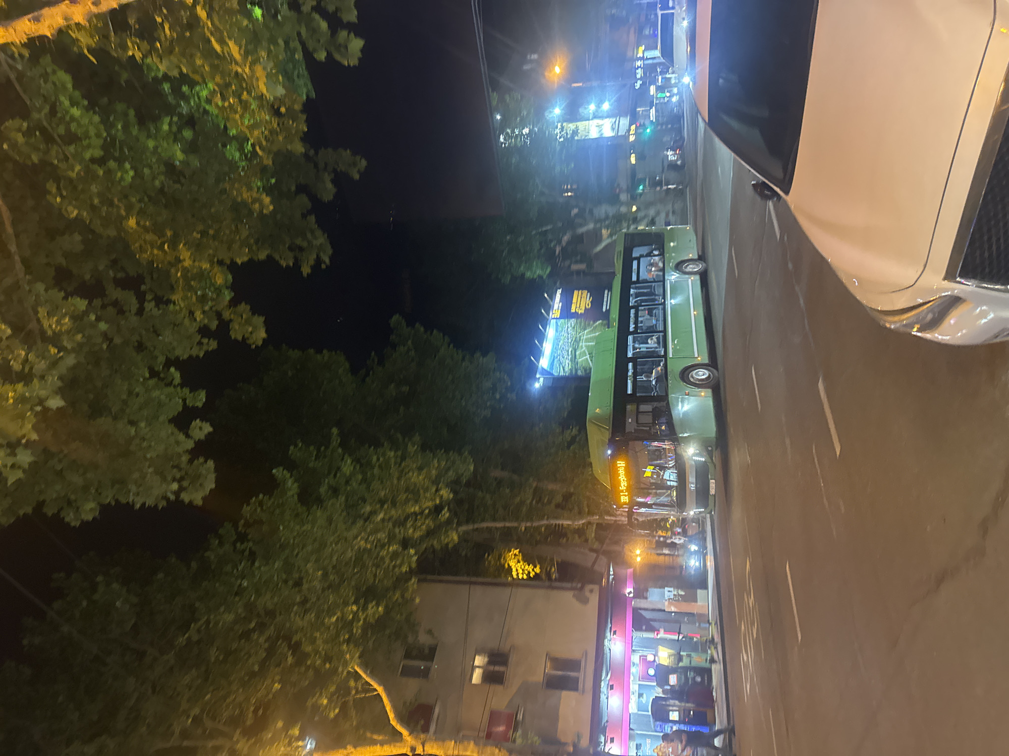 A nighttime street scene in Tbilisi, Georgia, features a green bus with illuminated text on its front, reading "321 - Fardzuli". The bus is traveling on a paved road with lane markings. To the left of the bus, a multi-story building with lit windows and a pink-colored facade is visible. Several streetlights illuminate the area. In the foreground, the hood of a white car is prominent, suggesting the photo was taken from another vehicle. Trees with dense foliage overhang the street from the top of the image. The overall atmosphere is urban and nocturnal.