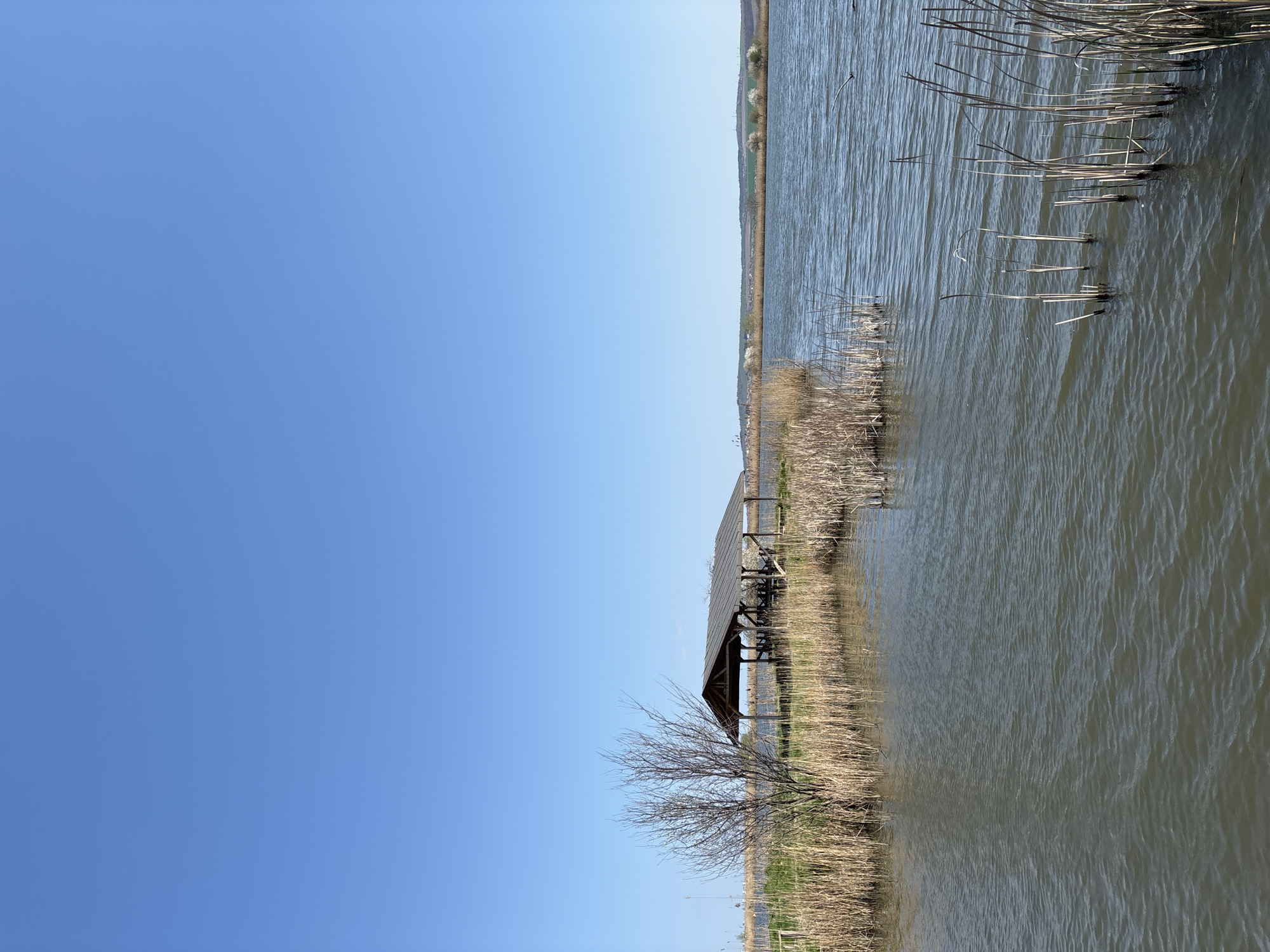The image depicts a body of water with reeds and a small wooden structure. The sky is clear blue. The scene is likely located in or near Burgas, Bulgaria, given the prompt's instructions. The wooden structure appears to be a small covered pier or platform extending into the water. Reeds and vegetation grow along the shoreline and around the structure. The water surface has slight ripples. There are no visible people, subjects, objects, actions, or interactions other than the natural environment and man-made structure.