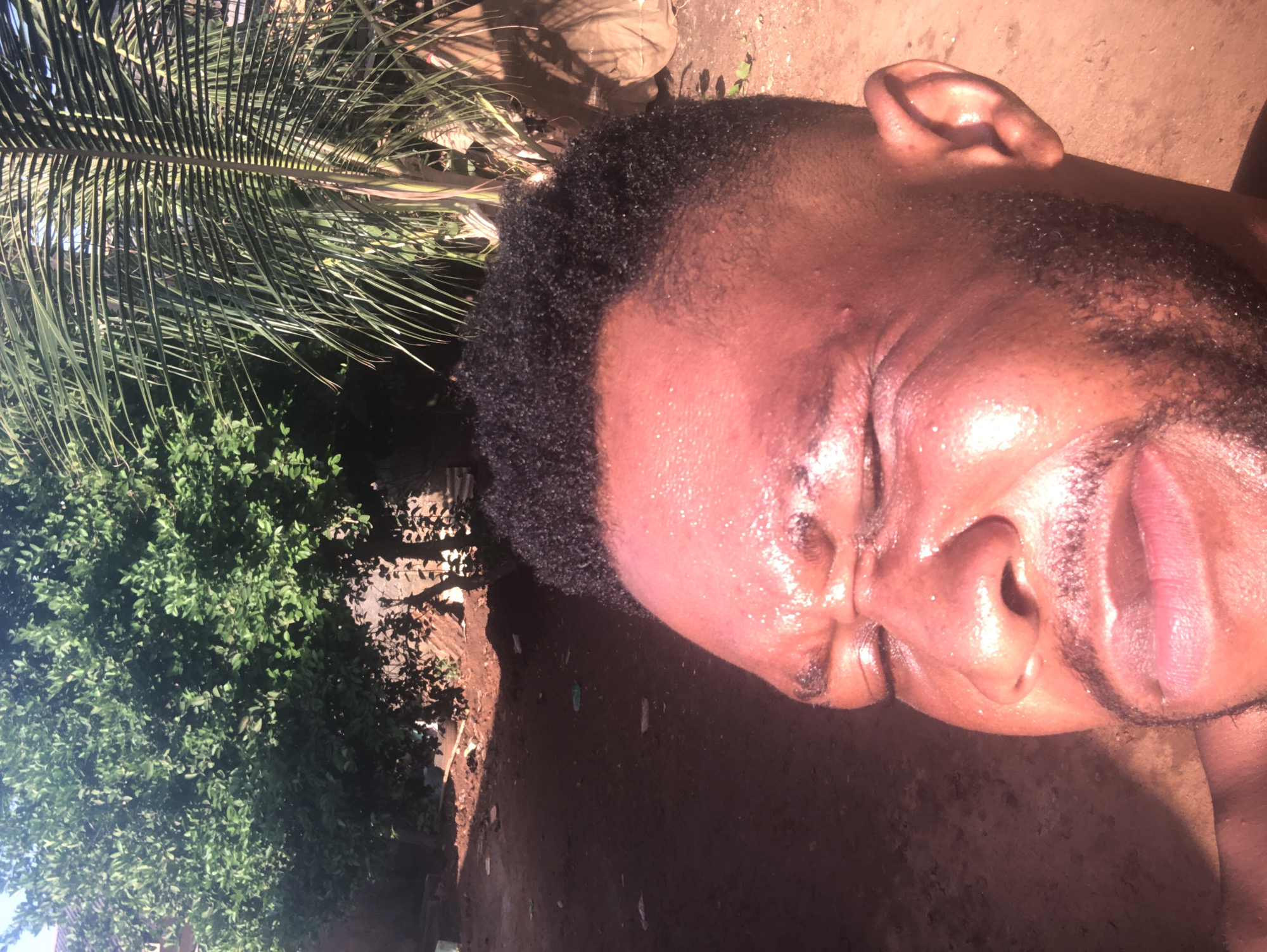 The image features a close-up portrait of an adult, dark-skinned individual, likely male, whose face occupies the right half of the frame. The person has short, curly dark hair and appears to be squinting or closing their eyes, possibly reacting to intense sunlight. Their skin exhibits a pronounced sheen, suggesting sweat or moisture, indicative of warm or hot conditions. The mouth is slightly open, with visible pinkish lips.
The background consists of dense green foliage, including a large palm frond spanning the upper left, and other leafy trees towards the left and center. The ground in the lower-mid background appears to be bare earth. The scene is brightly lit by direct sunlight, casting strong highlights on the subject's face and creating distinct shadows in the natural, outdoor environment. The setting suggests a tropical or semi-tropical climate. There is no visible text in the image.