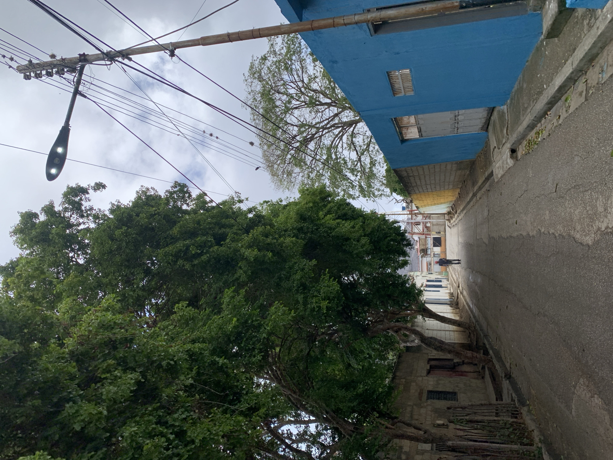 The image presents an upward-angled view of a narrow urban street in Santa Ana, Venezuela, characterized by a mix of natural elements, architecture, and utility infrastructure under an overcast sky.
On the left side, a dense, large green tree with abundant foliage occupies a significant portion of the foreground and midground, its branches extending over the street. Below this tree, a weathered, light-colored building with multiple small, grated windows and some stacked wood or debris is partially visible.
Dominating the upper section of the image are numerous crisscrossing electrical wires strung between utility poles. A modern streetlight, featuring two illuminated LEDs, hangs from one of these poles, even though the sky suggests daylight, albeit overcast. Small, dark forms resembling birds or nests are perched on some of the wires in the upper-mid section of the frame. Further along the wires, a tree with sparser, lighter green leaves is visible, creating a contrast with the denser tree in the foreground.
On the right, a building painted a striking light blue color with two small, grilled windows extends over the street. A long, thin pipe runs along its top edge. The street itself is paved with asphalt and appears somewhat worn, with a concrete drainage channel running alongside the blue building. In the distance, a lone person, dressed in dark attire, walks down the street away from the viewer, providing a sense of scale to the scene. The overall impression is that of a quiet, somewhat aged urban setting where nature and human construction are closely intertwined. There is no visible text in the image.