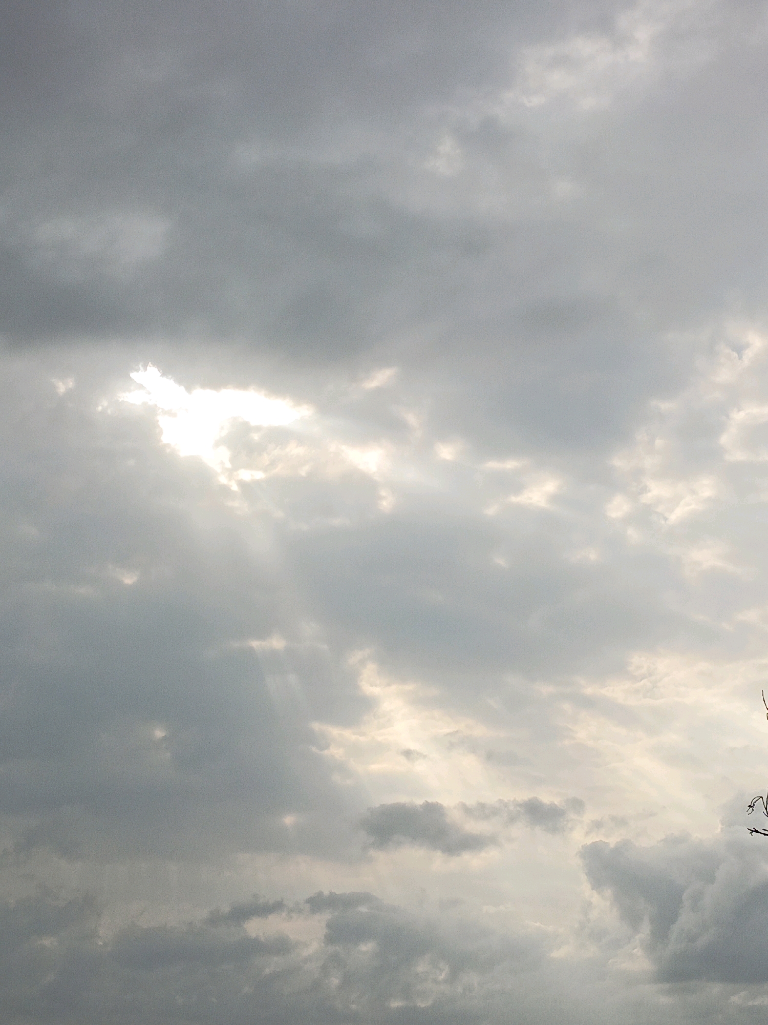 The image shows a cloudy sky with the sun breaking through in the upper left quadrant. The clouds are dark and gray, with shafts of light illuminating them. The scene is likely from the city of Ela-ela, Indonesia, based on the provided context. The image is a landscape view of the sky, with no visible people or specific landmarks of the city. The overall mood is atmospheric and somewhat dramatic due to the interplay of light and shadow in the clouds. The branches of a tree are visible in the far right of the image.