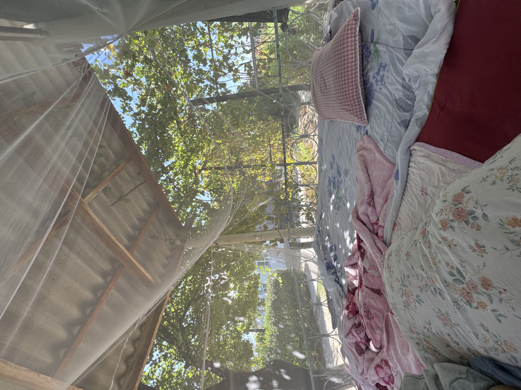 The image depicts a bed covered with a mosquito net, suggesting an outdoor setting, possibly a patio or balcony, in a residential area of Şardara, Kazakhstan. The bed has several pillows and blankets, including a pink plaid pillow, a floral print pillow, and pink and floral patterned blankets. The bed is situated under a rustic wooden roof structure. Beyond the bed, a metal railing encloses the area, and lush green foliage from trees and bushes is visible, with a clear blue sky peeking through. The overall impression is of a casual, open-air sleeping area designed for comfort and protection from insects, set against a backdrop of a sunny, natural environment. There are no people visible in the image.