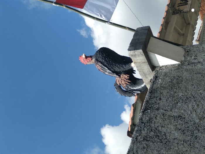 A multi-colored rooster statue, primarily black with brown wings and a red comb/wattle, stands prominently on a grey concrete block, which is supported by a textured grey concrete wall. The scene is viewed from a low angle, looking upwards towards a clear blue sky featuring scattered white cumulus clouds. To the right of the rooster, an Indonesian flag, colored red over white, is partially visible and unfurled on a bamboo pole. Below the flag, a section of a building roof with terracotta tiles and a portion of a building facade with dark decorative elements are present. This outdoor scene is brightly lit by natural light in Sukatani, Indonesia.