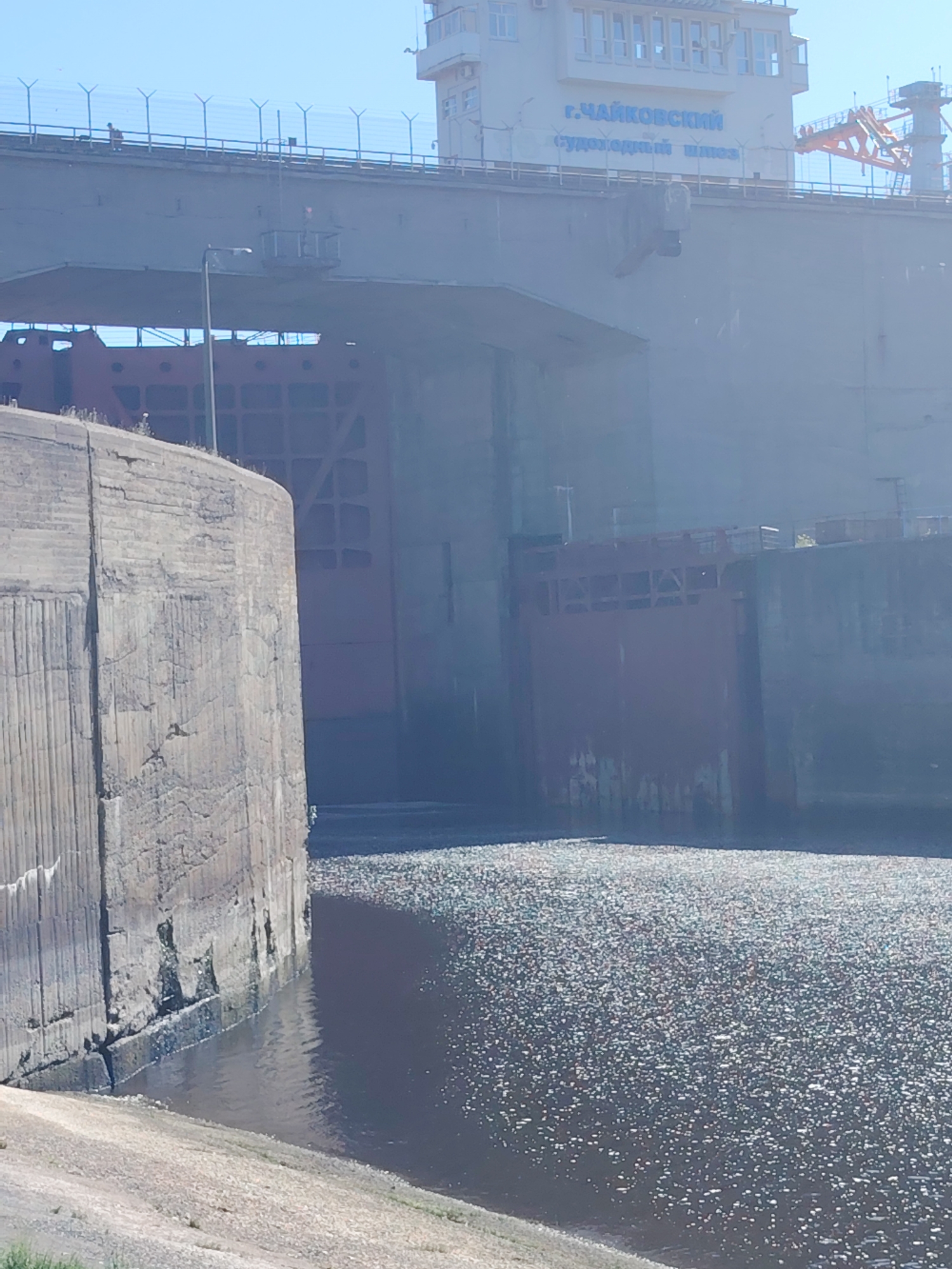 The image depicts a concrete dam and lock system under a clear blue sky. In the foreground, a large, rough-textured concrete wall curves towards the right, with water lapping at its base. The water surface is dark and reflects the sunlight in a dappled pattern, suggesting a rough or choppy texture.
Dominating the midground and background are massive concrete structures, characteristic of a hydroelectric dam or a navigation lock. Two large, reddish-brown gates are visible, one in the center and another to the right, likely part of the lock system. Above these gates, a lighter gray concrete structure extends upwards, with a building or control tower visible at the very top.
Text in blue Cyrillic script is visible on the upper structure, which reads "г. ЧАЙКОВСКИЙ" (City of Chaikovsky) and "судоходный шлюз" (navigation lock). An orange crane arm is also visible on the upper right side of the structure. A person is briefly visible on a walkway above the lock gates, wearing a red shirt and a backpack. A lamppost is positioned on the left side of the frame, casting a shadow. The overall impression is of a large-scale industrial or infrastructure site.