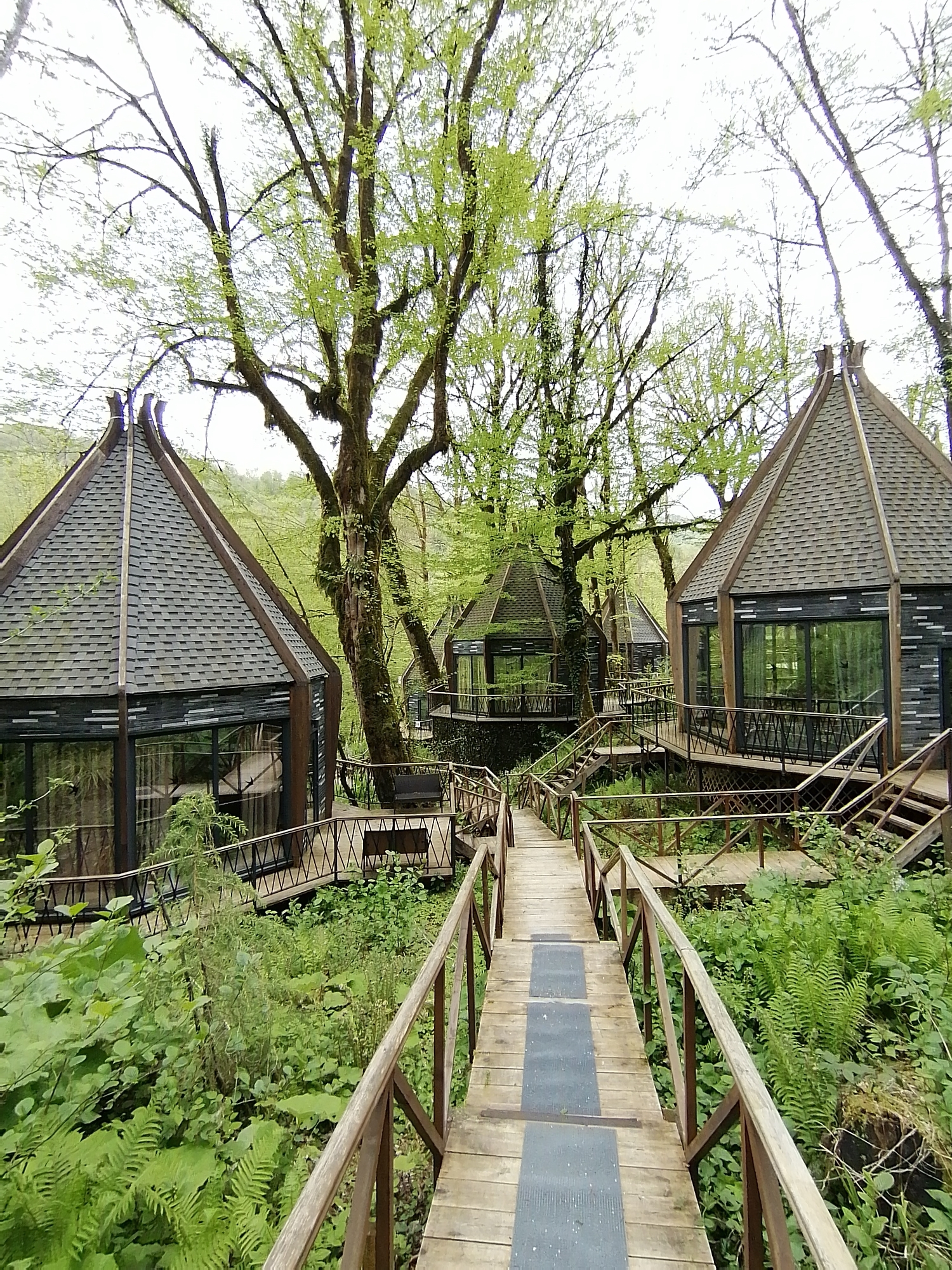 The photograph depicts a series of modern wooden cabins situated within a dense forest environment, likely in or near Medoveevka, Russia, judging by the context provided. The cabins feature dark-colored exterior cladding and steeply pitched roofs. Large windows dominate the facades, suggesting a design intended to maximize the connection to the surrounding natural landscape.
The cabins are connected by a network of elevated wooden walkways and stairs, creating a village-like atmosphere within the forest. The walkways feature wooden railings for safety. The vegetation surrounding the structures is lush and green, characterized by ferns and other shade-tolerant plants, indicating a humid climate. Tall, mature trees with spreading branches surround the cabins. The sky is overcast, casting a soft, diffused light across the scene. The overall impression is one of a secluded, eco-friendly retreat nestled within a natural setting.