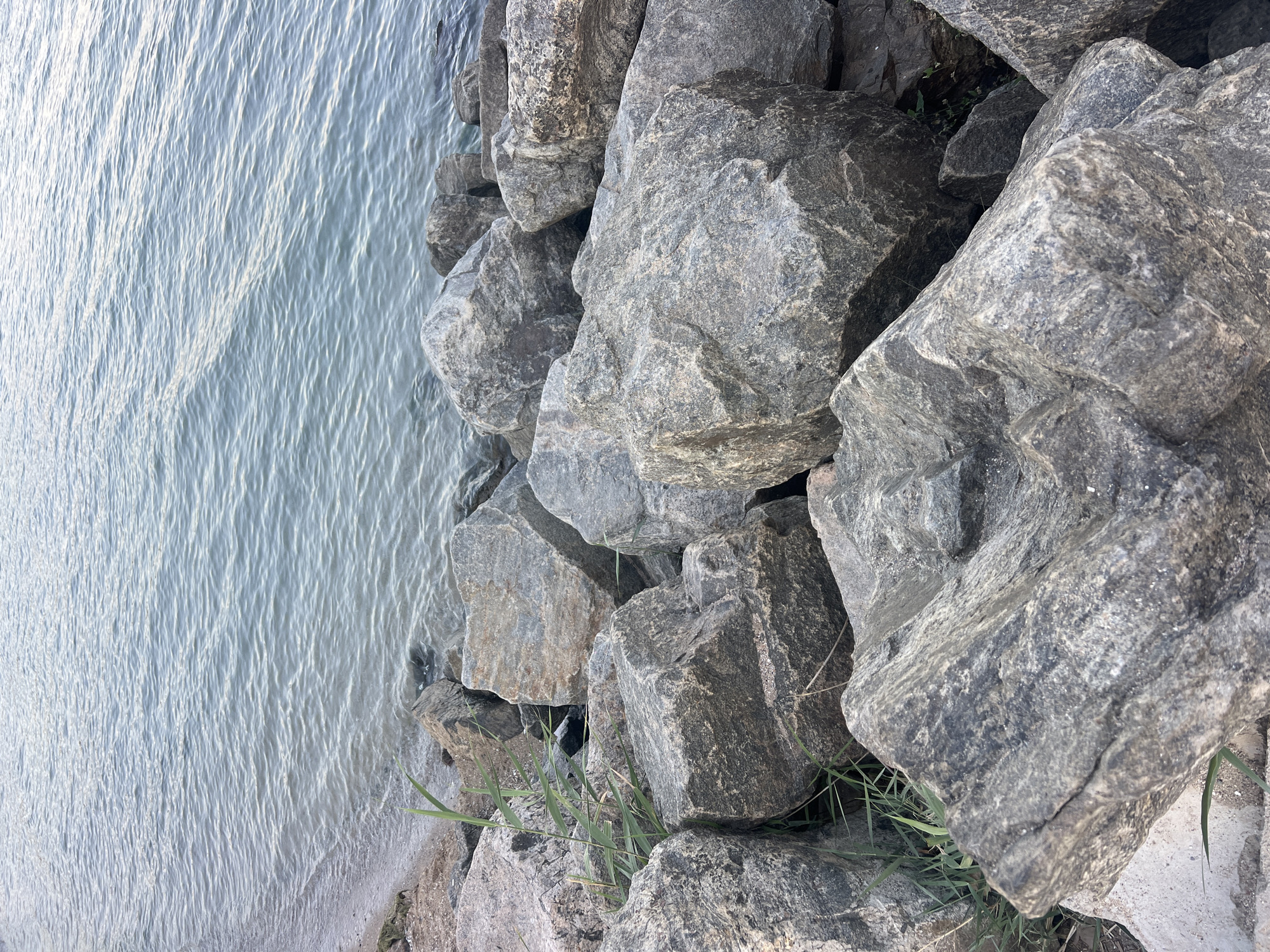 This is a close-up, eye-level, vertical shot of a rocky shoreline with water. The foreground is dominated by large, gray, irregular-shaped rocks, some showing striations and variations in texture and color. Patches of green grass and thin reeds are growing between and around the rocks. The middle ground continues with more rocks, some of which are partially submerged in the water. The water itself occupies the upper half of the image and is a calm, blue-gray color with gentle ripples reflecting the sky. The shoreline is visible on the left, transitioning from sand to rocks. There are no people or animals visible in the image. The scene depicts a natural, outdoor environment.