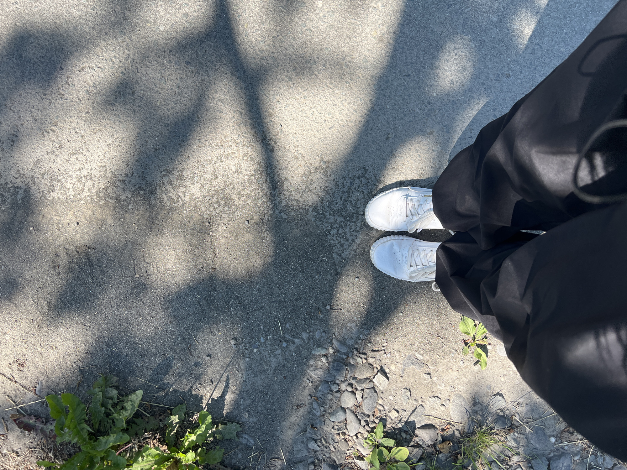 The image shows a low-angle, top-down perspective of a person's legs and feet, wearing black pants and white sneakers. The person is standing on a paved surface that appears to be outdoors, with shadows of tree branches cast across it. To the left of the paved area, there is a patch of ground with gravel, small rocks, and green vegetation. The environment suggests a park, sidewalk, or pathway in a temperate climate. Without further information or context, it is not possible to definitively determine the specific location within Paratunka, Russia.