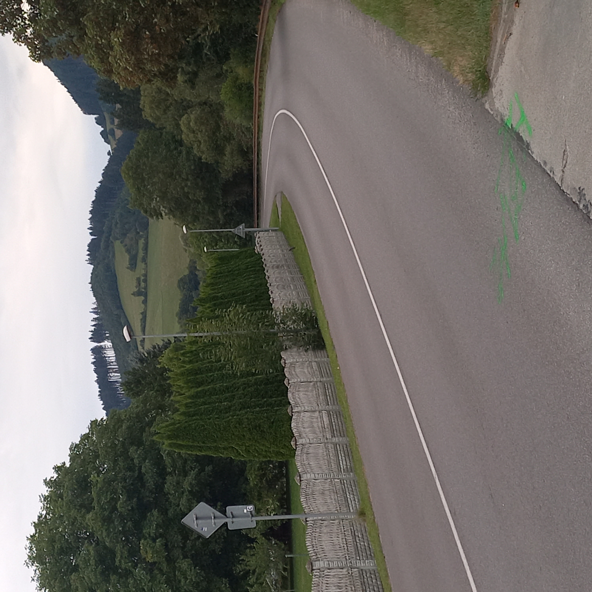 The image depicts a rural road with a distinct curve, likely in or near Dolný Kubín, Slovakia, given the context provided. The road is paved and has a white line marking its center. To the left of the road, a decorative concrete fence runs along the roadside, backed by a row of tall, manicured evergreen trees. Beyond the fence, a large deciduous tree dominates the left side of the frame. A diamond-shaped traffic sign is mounted on a pole near the fence. The background features rolling hills covered in dense green forest, with some lighter green patches suggesting meadows or clearings. The sky is overcast and a pale gray. On the right side of the road, the terrain slopes upwards, with grass and some trees. A rusty metal guardrail follows the curve of the road. Green markings are visible on the asphalt surface in the foreground, near the edge of the road. There are no people or animals visible in the image. The overall impression is one of a scenic, somewhat remote road in a hilly, forested region.