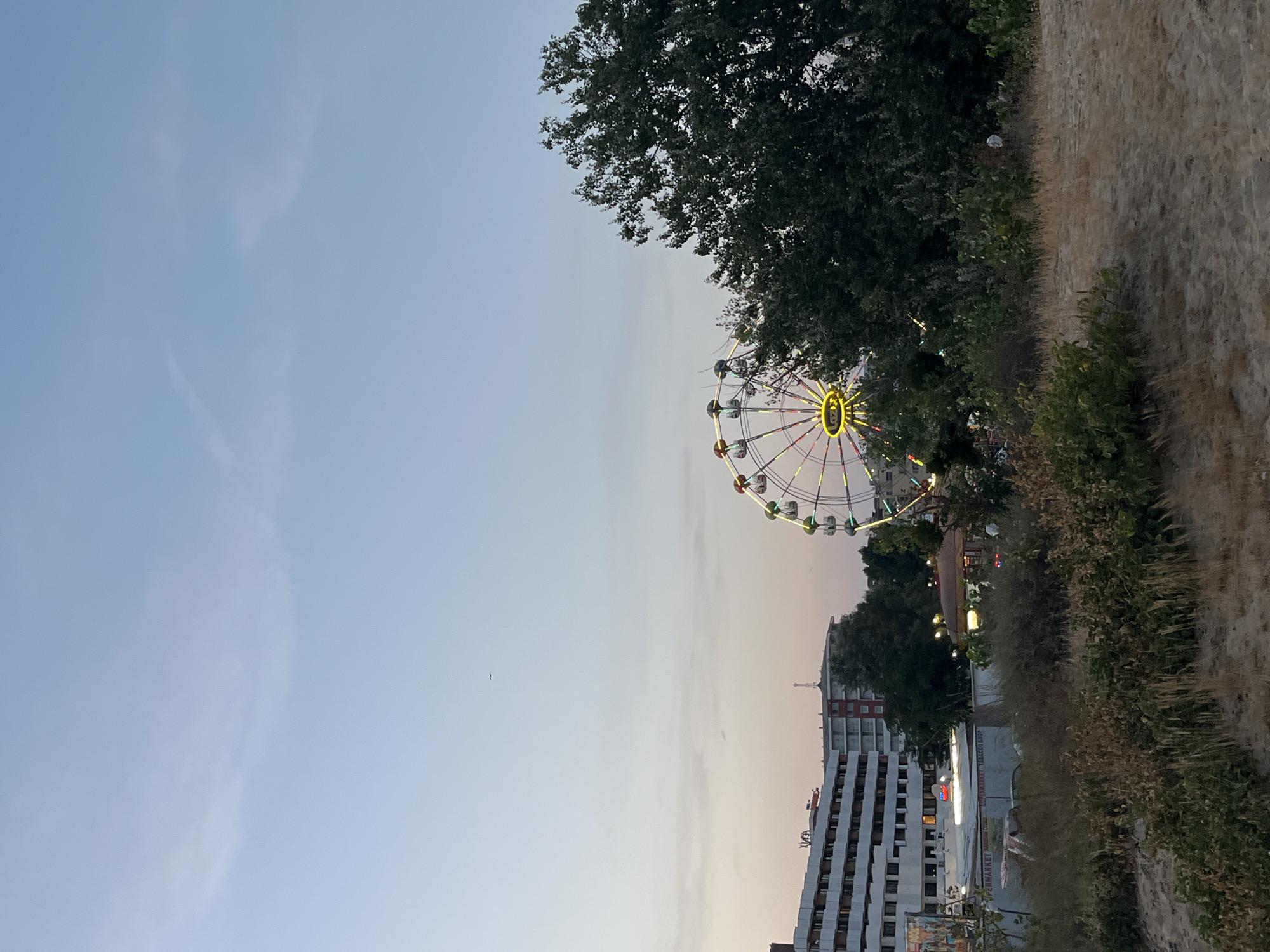 The image depicts an outdoor scene in Nesebar, Bulgaria, at dusk. In the background, a Ferris wheel with illuminated cars is prominently featured, suggesting an amusement park or fair. Adjacent to the Ferris wheel are several buildings, including a multi-story white building with numerous windows and a smaller, darker building with a pitched roof. These structures appear to be part of a resort or commercial area. In the foreground, dry, sandy ground is covered with sparse, dry vegetation and some green bushes, indicating a natural or undeveloped area. The sky is a pale blue transitioning to a soft pinkish hue near the horizon, typical of twilight. A faint, dark silhouette of a bird is visible in the upper left quadrant of the sky. There are no people or animals visible in the image.