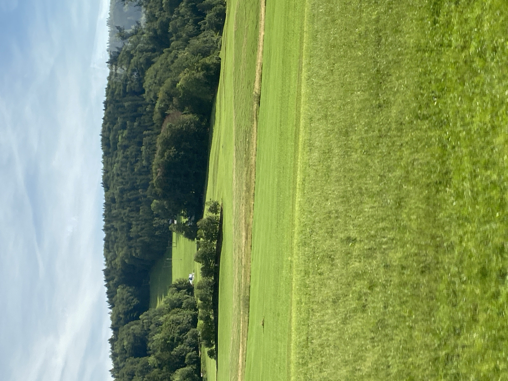 The image depicts a rolling green landscape under a partly cloudy sky. The foreground is a field of lush green grass, with a blurred effect suggesting movement or a shallow depth of field. In the mid-ground, the landscape rises into gently sloping hills covered in more vibrant green grass. A cluster of trees forms a small grove on one of these hills. Further in the background, a dense forest covers a larger hillside. On the far left of the mid-ground, a white building with a dark roof is visible, possibly a farmhouse or barn. A few power poles are also sparsely distributed across the landscape. The overall scene is pastoral and natural, with no signs of urban development beyond the single building. The location is stated to be Winkl, Austria, which is a village or a small area within a municipality, consistent with the rural characteristics of the image. There are no people, animals, or any discernable actions occurring in the scene. The environment is characterized by open fields, wooded areas, and a clear sky.