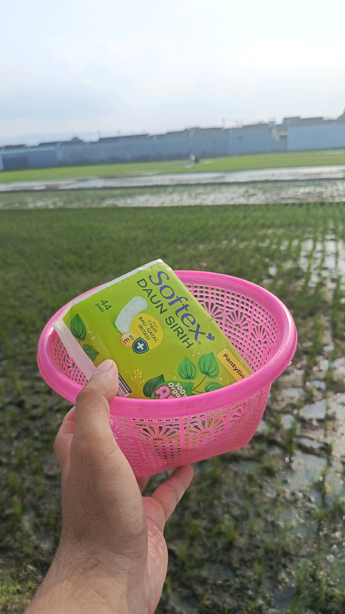 A hand holds a pink plastic basket containing a pack of Softex Daun Sirih pantyliners. The pantyliner pack is bright green with text in various colors and illustrations of leaves and a plus sign within a circle. The basket is positioned in the foreground. The background depicts a rice paddy field with a low-lying wall or structure in the distance, likely indicating the outskirts of the city of Babadan, Indonesia. The sky is a pale, hazy blue, suggesting an overcast or early morning scene. The overall environment is agricultural.