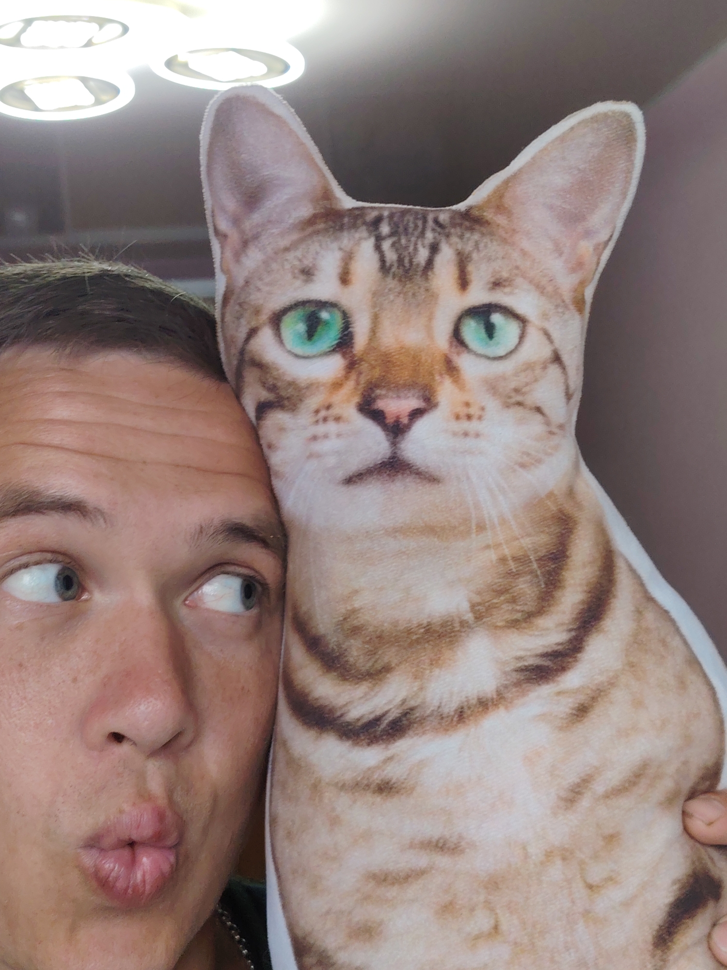 A close-up, high-angle shot shows a person's face and a plush toy cat. The person, positioned on the left, has light skin, short brown hair, and is looking to the left with blue-green eyes. Their lips are pursed in a kissing gesture. The plush toy cat, on the right, is a realistic depiction with green eyes, brown and black striped fur, and is positioned close to the person's head, appearing to be held by them. The background is out of focus, showing a wall and ceiling lights, suggesting an indoor setting. The image does not provide any specific information or context related to the city of Chaikovsky, Russia.