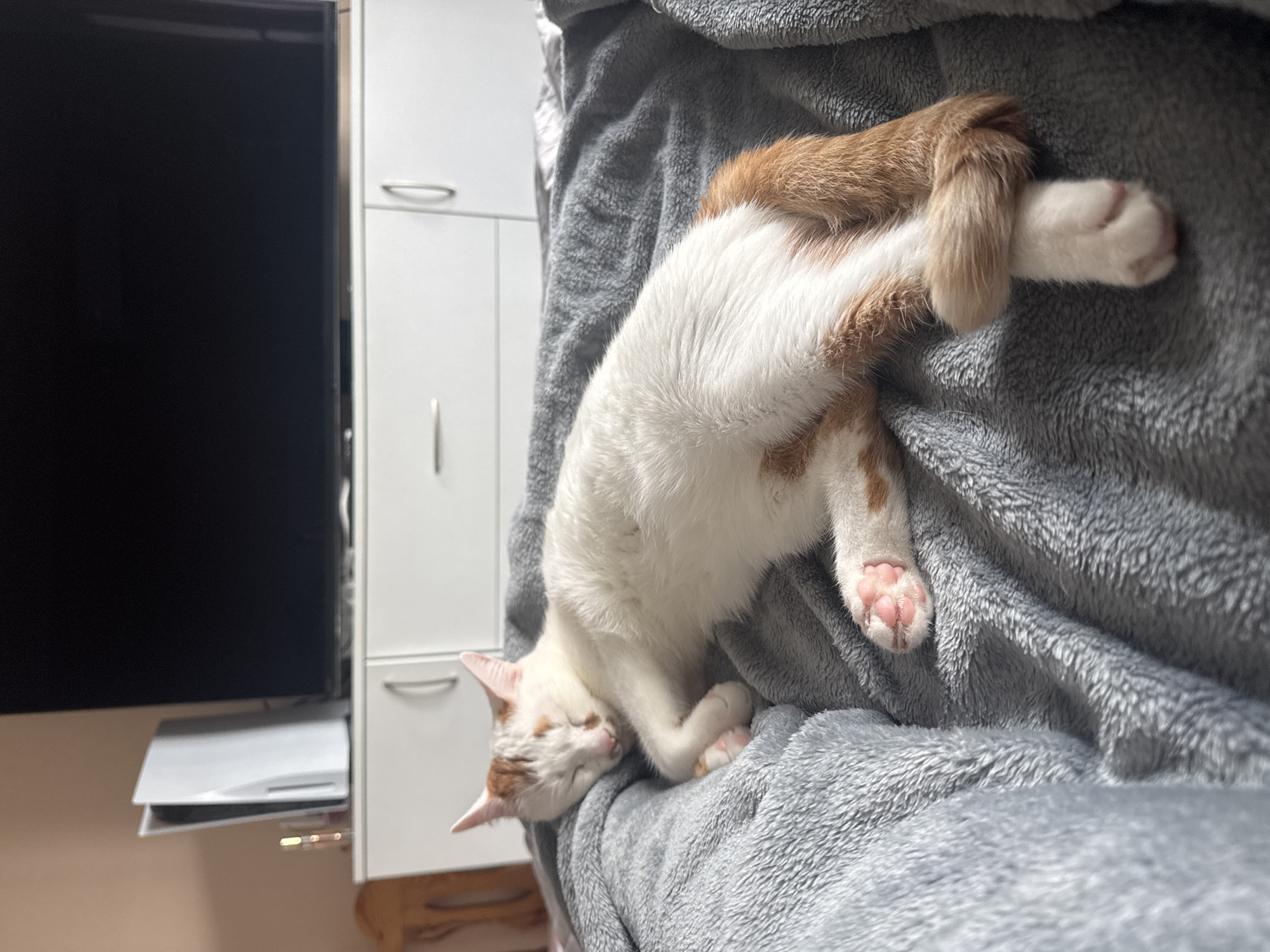 A white and orange tabby cat is sleeping on a grey fuzzy blanket. The cat is curled up on its side, with its head resting on its paws. Its eyes are closed, and its tail is wrapped around its hind legs. In the background, there is a white dresser with a black flat-screen television on top. To the left of the television, there is a white PlayStation 5 console. The scene is indoors, in what appears to be a living room. The location is not specified within the city of Sofia, Bulgaria.