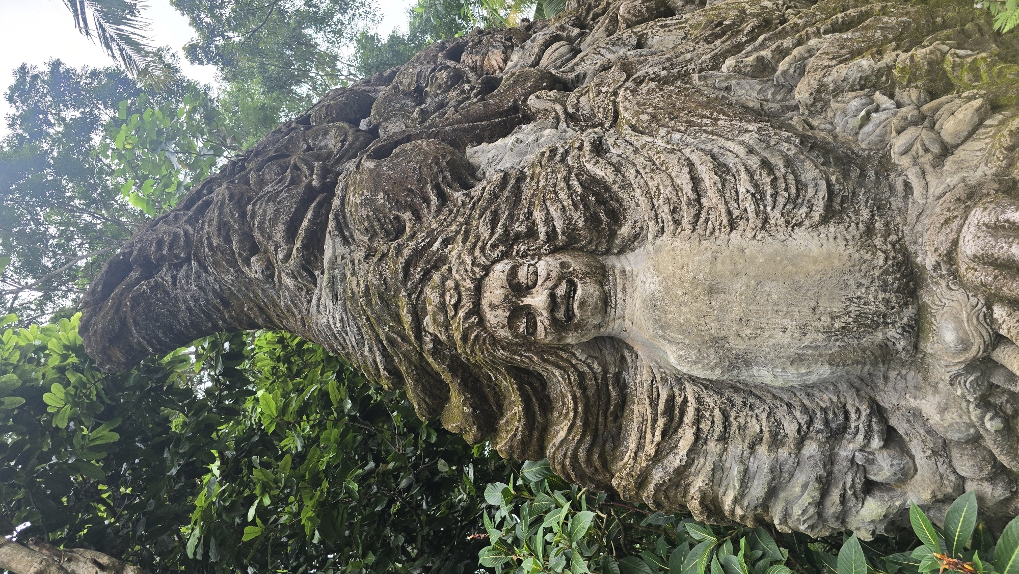 The image shows a large, ornate stone sculpture in an outdoor setting. The sculpture features a face with expressive features, possibly a deity or mythical figure, surrounded by intricately carved details resembling hair or foliage. The sculpture appears weathered and aged, with variations in color and texture. The sculpture is situated amidst lush greenery, with trees and foliage visible in the background. This photograph was likely taken in the Ubud District of Indonesia, an area renowned for its art and culture.