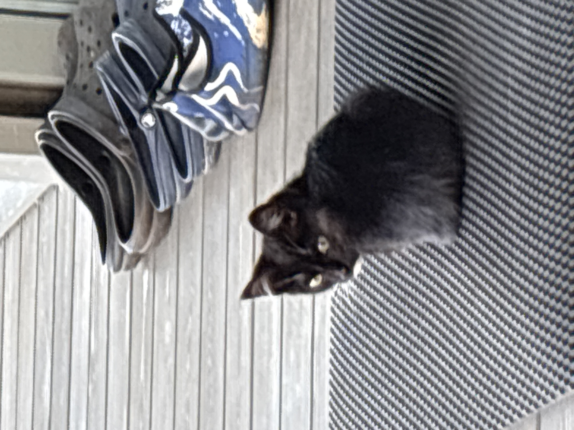 A black kitten with bright yellow eyes sits on a black and white striped mat. The mat is on a wooden deck, which is partially visible behind the kitten. In the background, a row of various colored clogs are lined up. The scene appears to be outdoors, possibly on a porch or patio. The lighting suggests it is daytime. The image was captured in Zvenigorod, Russia.