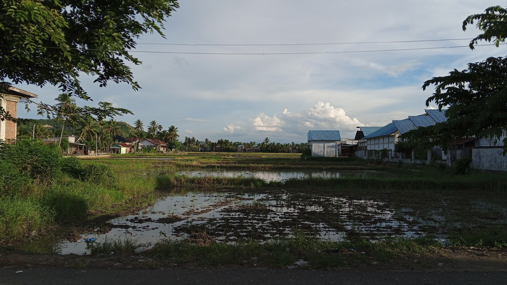 The image depicts a rural landscape in Geulangganggampong, Indonesia, likely at the edge of a residential area bordering agricultural land. In the foreground, a paved road is visible, with a grassy verge and the edge of a flooded rice paddy. The paddy is partially submerged, with dark mud and patches of greenery creating a reflective surface. Beyond the paddy, a cluster of houses and buildings are scattered across the middle ground, interspersed with palm trees and other vegetation. Some of the houses have traditional pitched roofs, while others appear more modern with corrugated metal roofing. To the right, a series of buildings with uniformly sloped blue roofs dominate the scene, suggesting a communal or industrial structure. The background features rolling hills and a sky filled with scattered white clouds against a pale blue hue. The overall impression is one of a peaceful, undeveloped area, characteristic of many Indonesian villages. There are no people visible in the image, and no specific actions are being depicted. The environment suggests a tropical climate, with the presence of lush vegetation and the flooded fields indicating agricultural activity.
