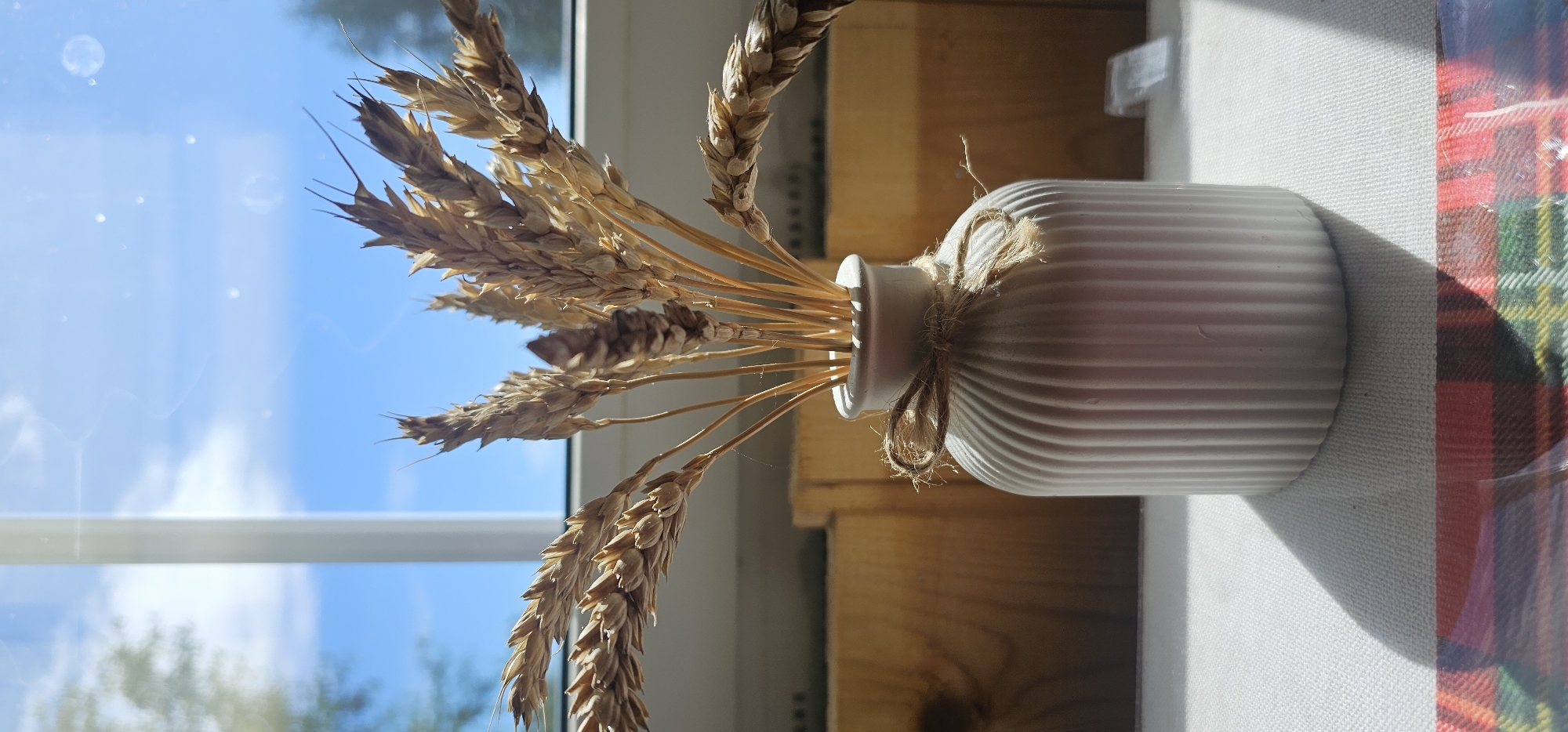 A still life composition features a light gray, ribbed ceramic vase tied with twine, holding a bouquet of dried wheat stalks. The vase is placed on a white cloth with a plaid pattern visible at the bottom edge of the frame. Behind the vase, a wooden surface or partition is visible, and further back, a window with a bright blue sky and scattered clouds is present, suggesting an outdoor or well-lit indoor setting. The lighting casts a shadow of the vase and wheat onto the white cloth. The overall scene is serene and naturalistic.