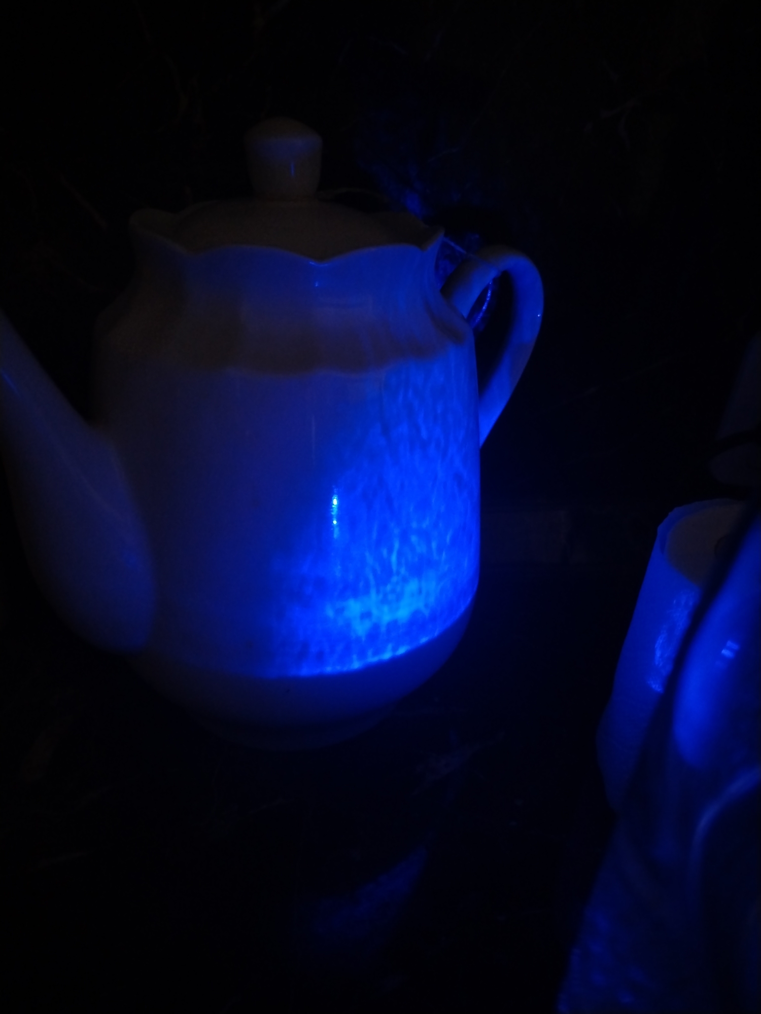 The image displays two objects illuminated by blue light in an otherwise dark environment. A white ceramic teapot is centrally positioned, featuring a lid, a spout on the left, and a handle on the right. Its front and right surfaces are strongly illuminated by an internal or projected blue light, revealing intricate, wavy, or cellular patterns across the ceramic. To the right of the teapot, a second, partially visible object, appearing to be a white cup or similar container, also exhibits a fainter blue luminescence. The surrounding background is uniformly black, indicating a complete absence of ambient light or discernible features. No individuals are present, and no actions or interactions are occurring. This scene is located in the city of Izhevsk, Russia.