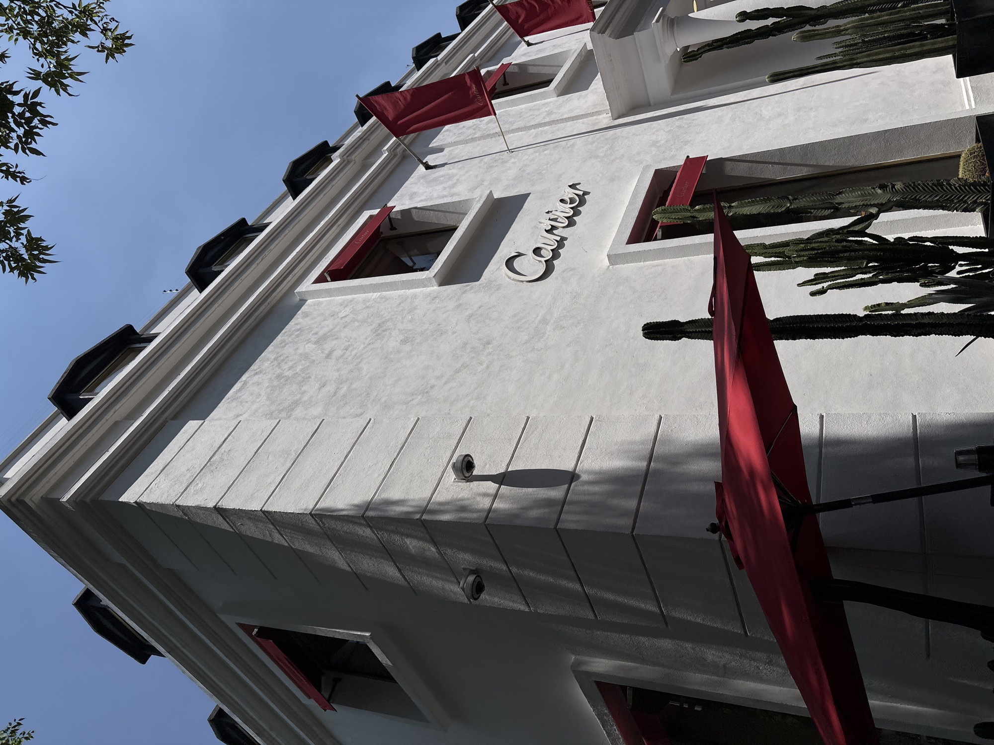The image shows the facade of a building, likely a commercial property, with the word "Cartier" displayed prominently on the white textured exterior. The building is characterized by a stark white color scheme with geometric architectural details. Red awnings and flags are visible, adding pops of color. A variety of cacti plants are positioned in the window boxes. The scene is located in Mexico City, Mexico. The image is taken from a low angle, looking up at the building, with a blue sky visible in the background. Part of a tree's branches is visible in the upper left corner. There is also a red umbrella near the right side of the photo.