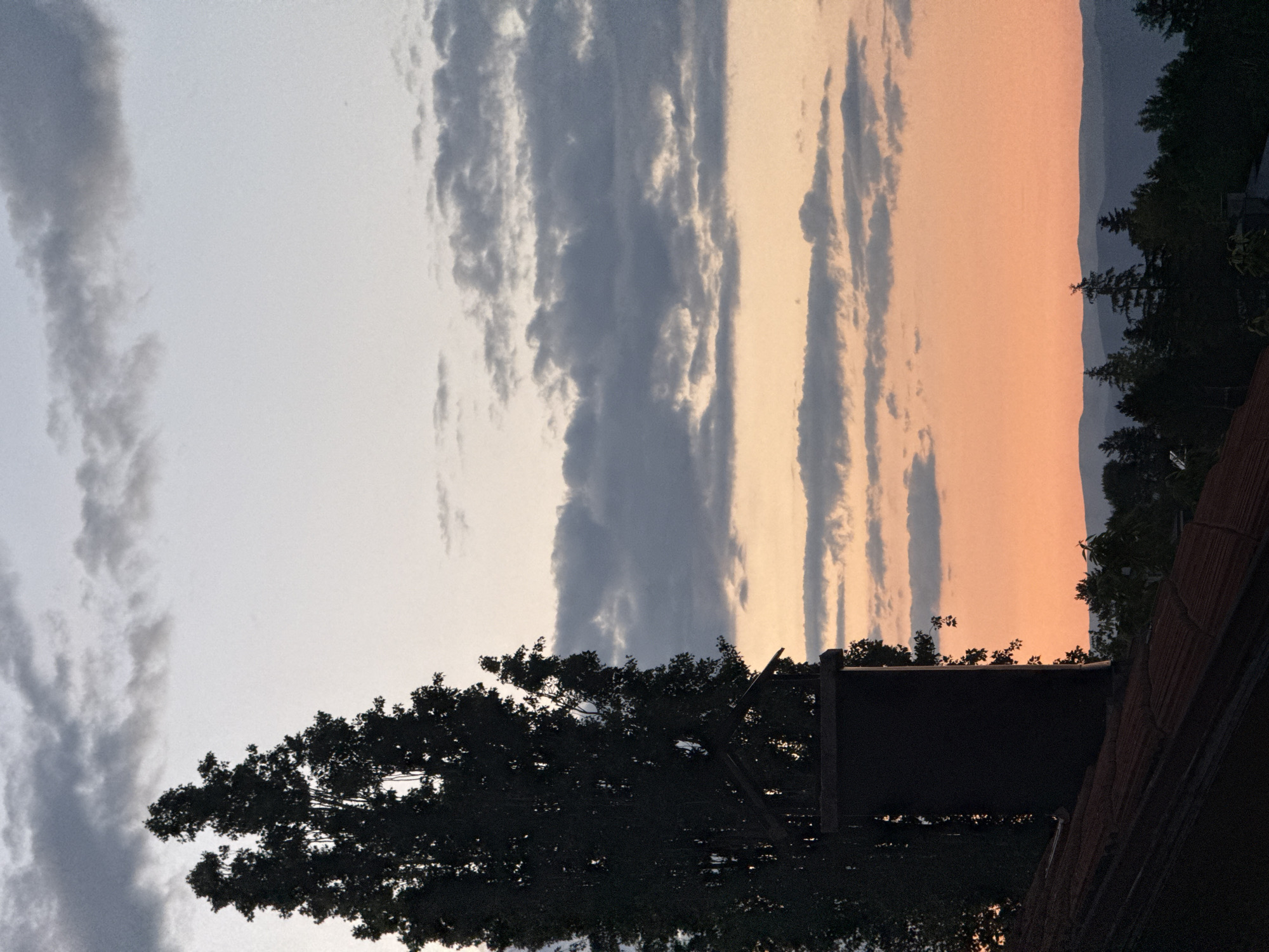 The image shows a sunset view from a rooftop in Sofia, Bulgaria. In the foreground, a dark-tiled roof is visible, partially obscured by a tall, dark tree and a chimney. The tree is silhouetted against the sky, with its branches reaching upwards. The chimney, made of dark material, is rectangular in shape and stands next to the tree. Behind the tree and chimney, a band of orange and pink hues from the setting sun dominates the lower part of the sky. Above this, the sky transitions to a lighter blue-grey, with scattered clouds. In the distance, a range of layered hills or mountains is visible, fading into the horizon. The overall scene depicts a quiet, serene evening in the city, with natural elements juxtaposed against man-made structures.
