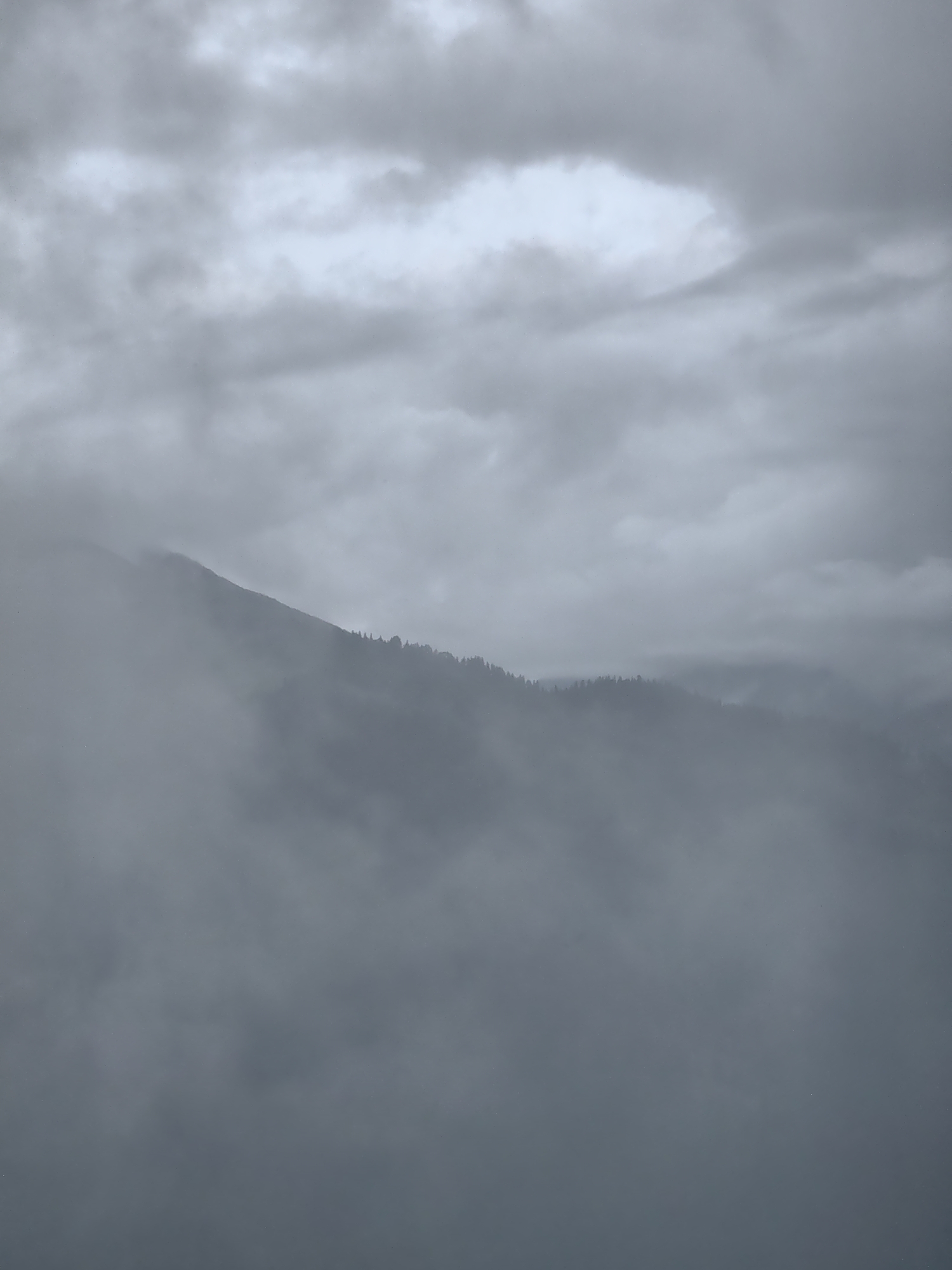 The image depicts a misty mountain landscape, likely in Prini, India, under an overcast sky. The foreground is dominated by a thick layer of fog or mist, obscuring the lower portions of the scene. In the midground, the silhouette of a mountain range is visible, with its peaks partially shrouded in the atmospheric conditions. A dense line of trees forms a dark band along the visible ridge of the mountains, suggesting a coniferous forest. The sky above is filled with heavy, gray clouds, creating a somber and diffused light. There are no people or man-made structures immediately apparent in the image, emphasizing the natural and somewhat isolated environment. The overall impression is one of a cool, damp, and subdued atmosphere typical of mountain regions during foggy or cloudy weather.