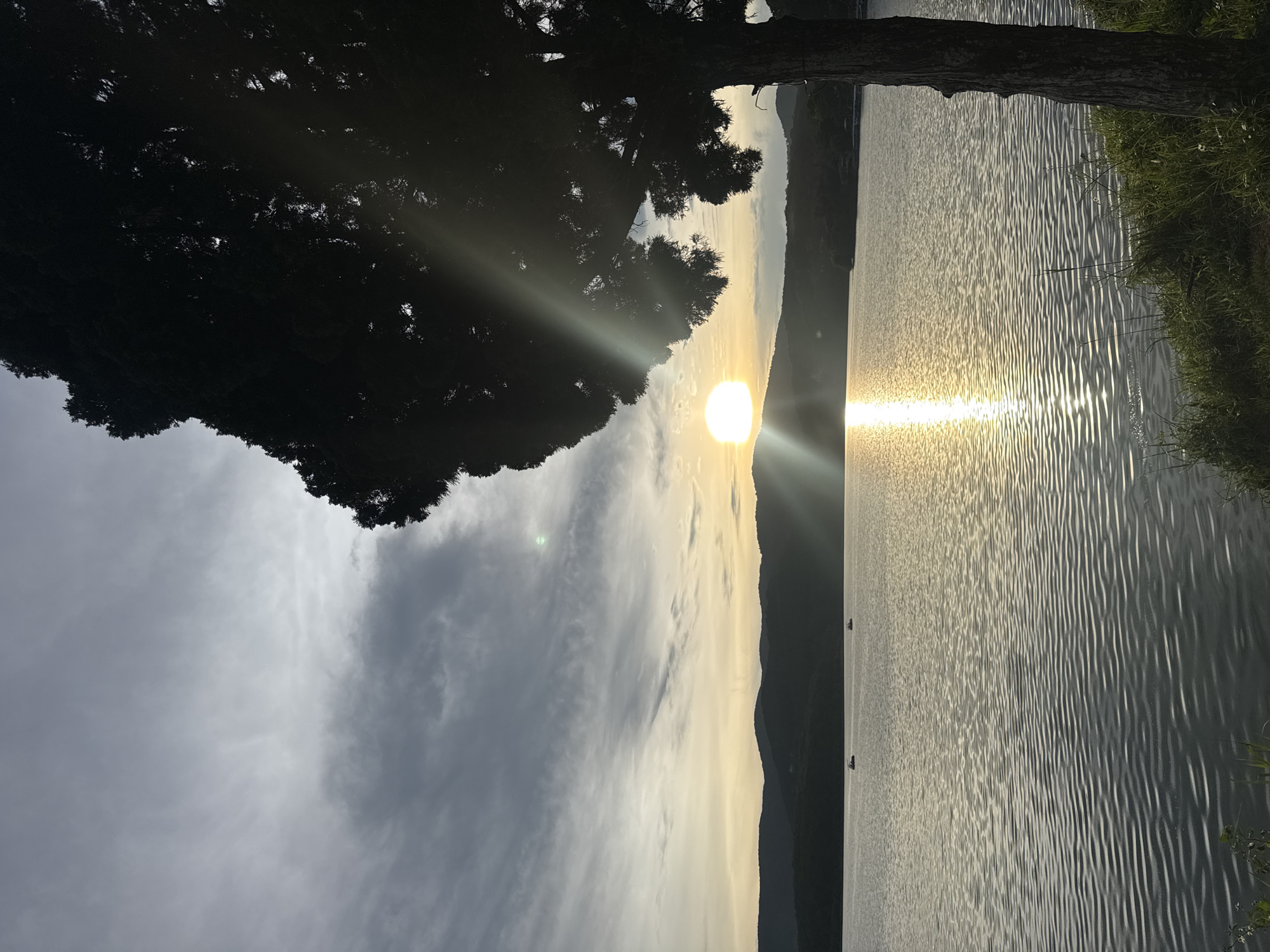 The image captures a sunrise scene over a body of water, likely a lake, with forested hills in the background. The sun, positioned slightly off-center, reflects strongly on the water's surface, creating a sparkling path of light. To the left, a dark, silhouetted tree partially obscures the view, with sunlight streaming through its branches. The sky above displays a mix of light and dark clouds. The water has ripples, indicating a slight breeze. There is green vegetation on the right side, along the edge of the water. The location is possibly Tuyen Lam Lake in Da Lat, Vietnam, as it matches the environmental features and is known for its sunrise views. There are boats on the lake.