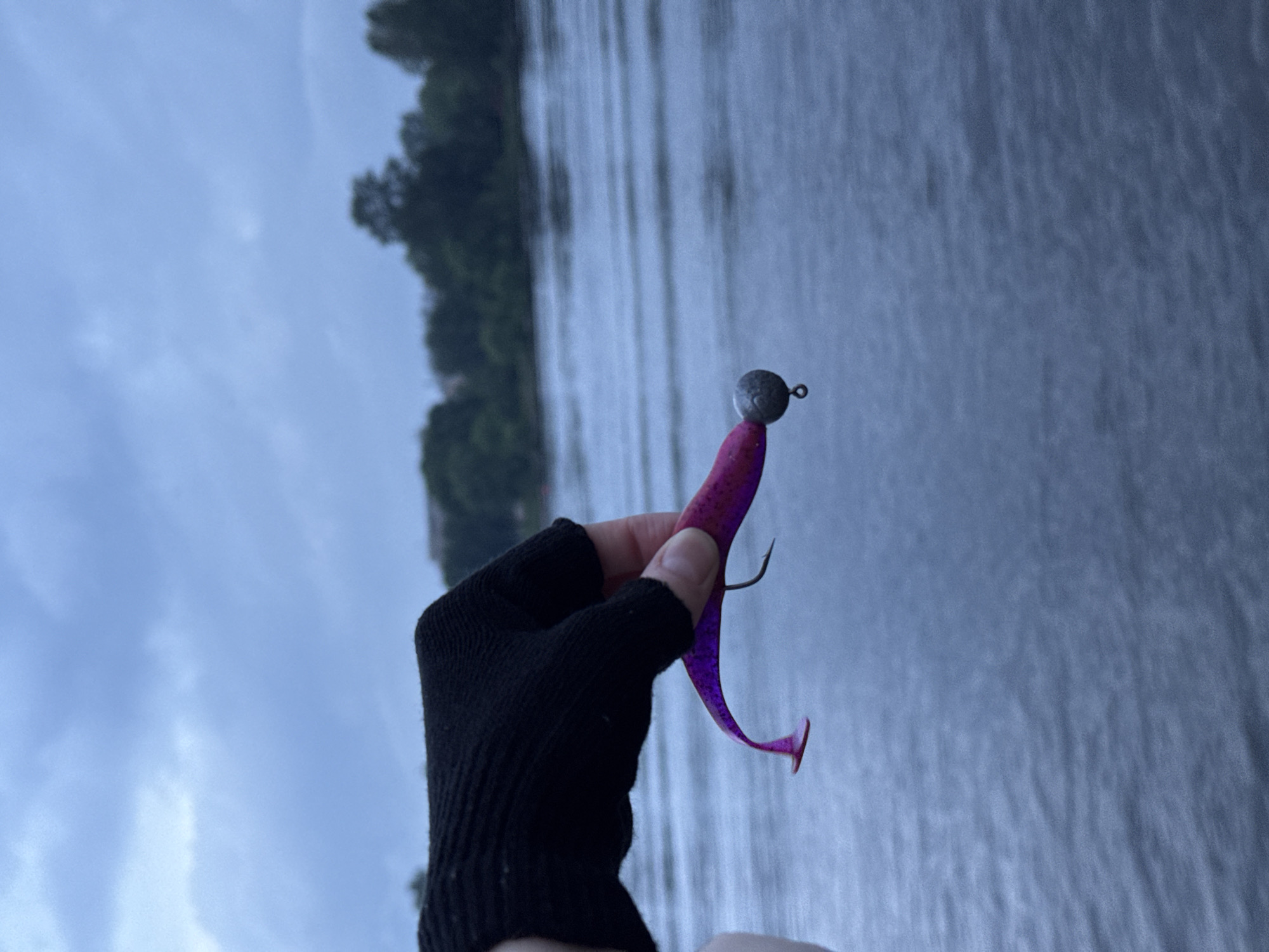 A person wearing a black fingerless glove is holding a purple fishing lure with a jig head and hook. The lure is positioned over a body of water with ripples. In the background, there is a tree line with some buildings visible and a cloudy sky. The scene is likely near the Neva River in Saint Petersburg, Russia, given the typical landscape and cloudy weather.