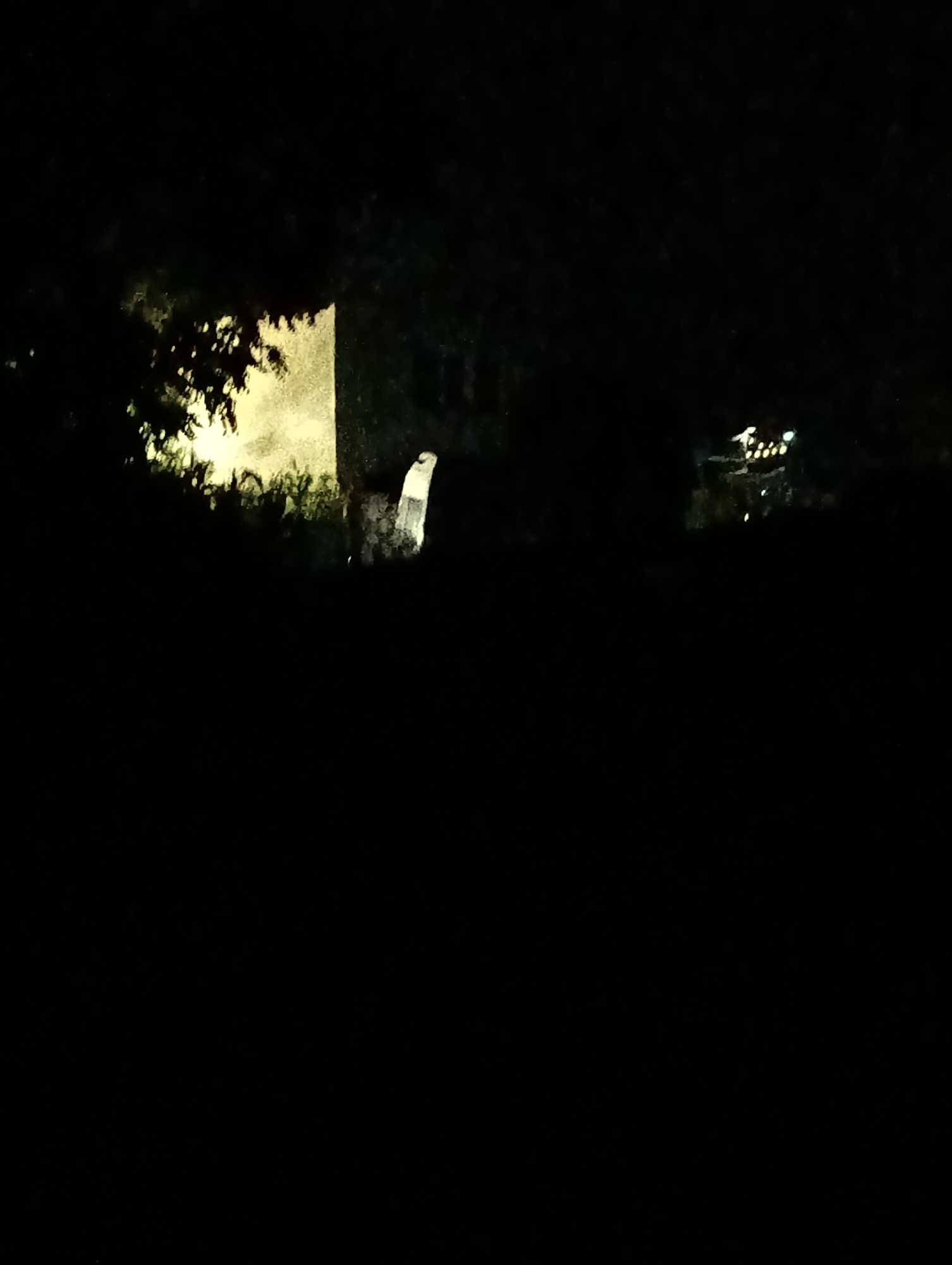 The image depicts a nighttime scene in Roghi, Moldova, dominated by darkness with some illuminated elements. In the mid-ground, a light-colored structure, possibly a building or monument, is visible, partially obscured by foliage and illuminated from the side. To its right, a white, upright object is present, the nature of which is unclear. Further to the right, a cluster of lights, suggesting a distant building or outdoor lighting, is visible. The foreground and most of the image are engulfed in shadow.