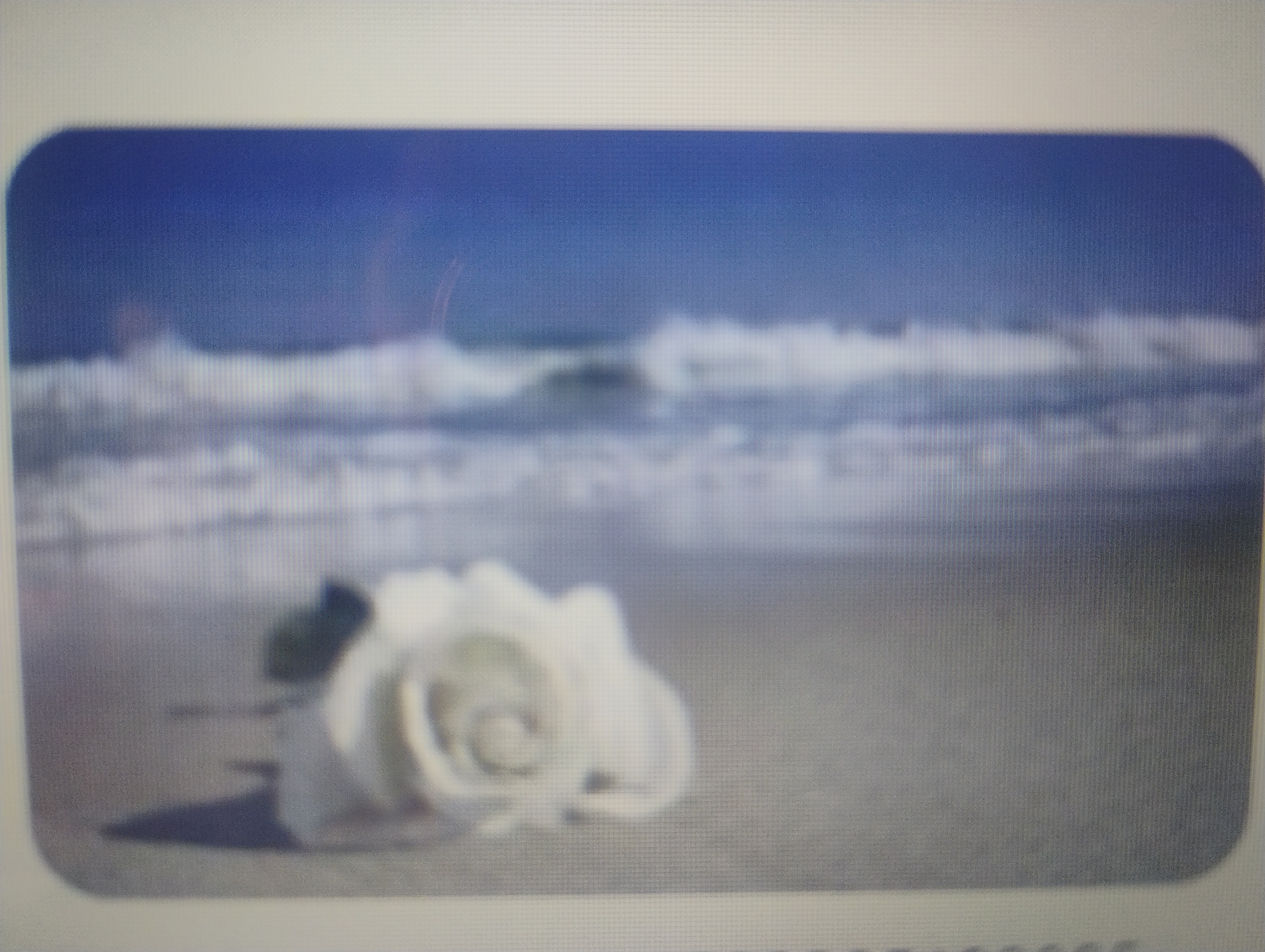 The image shows a white rose lying on a sandy beach with the ocean and sky in the background. The rose is in the foreground and appears to be fresh, with its petals slightly unfurled. The sand is light brown and appears wet, suggesting that the rose has recently been near the water. The ocean is a deep blue, and the waves are white and foamy. The sky is a clear, bright blue. The image is softly focused, giving it a dreamlike quality. The location is not specified as Rumyantsevo, Bulgaria.