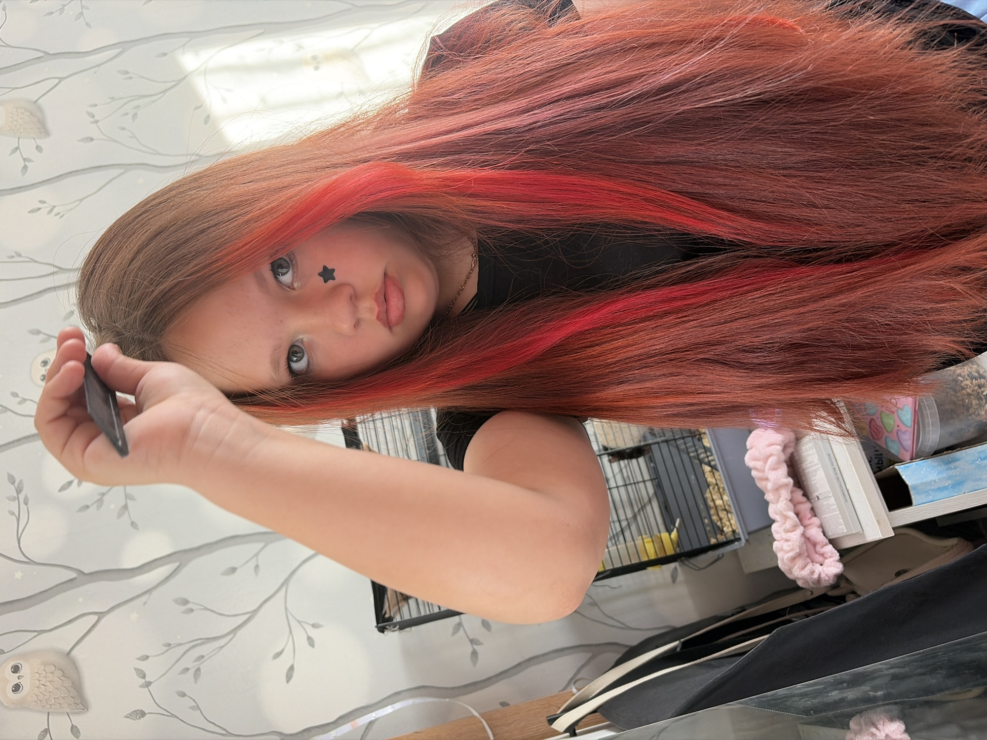 A young person with long, reddish-brown hair with red streaks poses for the camera. A small, black star-shaped sticker is on their face, near the left eye. The person is holding a small, dark-colored object in their left hand. They are wearing a black shirt.
The background includes a wall with a grey and white tree-and-owl pattern, a birdcage, and miscellaneous items on a shelf.
There is no information in the image to verify its location is Chaikovsky, Russia.