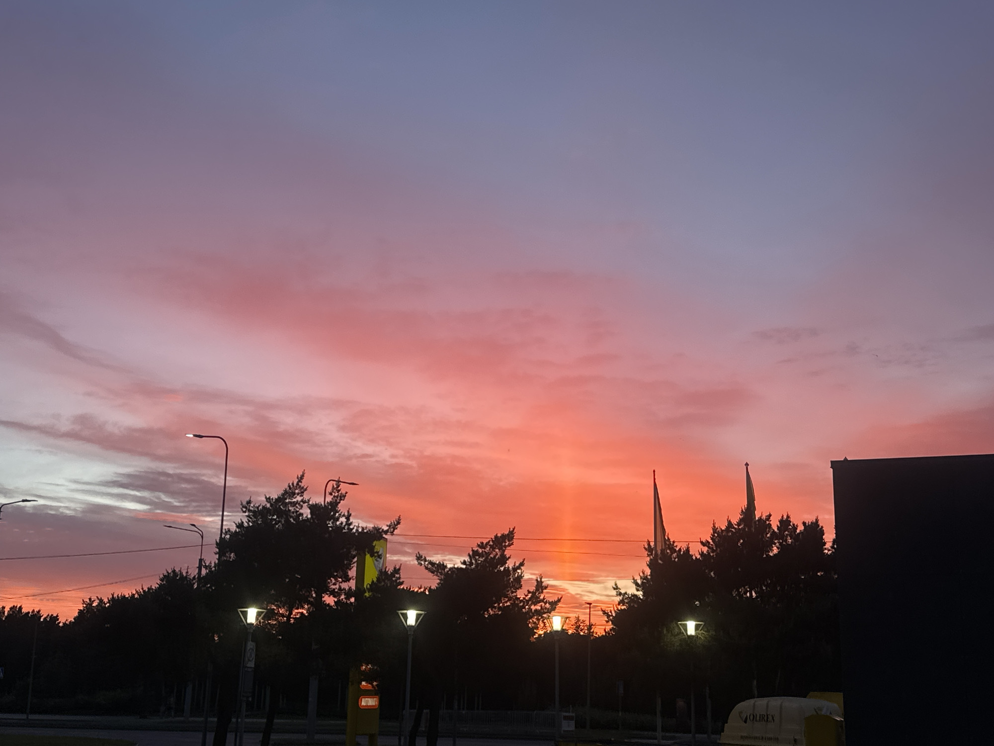 A wide shot captures a vibrant sunset over a city, likely Tallinn, Estonia, given the flags visible. The sky transitions from a pale blue at the top to fiery hues of pink, orange, and red near the horizon, with some wispy clouds catching the light. Silhouetted against the colorful sky are the dark shapes of evergreen trees and several streetlights. In the foreground, on the right side of the image, a dark building casts a shadow. Flags on poles, one appearing to be the Estonian flag, are visible behind the trees. A yellow utility box or sign is also present on the left. The scene appears to be an outdoor urban or suburban environment, possibly a street or a park area. There are no people or specific actions depicted. The image has a dramatic and serene quality due to the dramatic sunset.