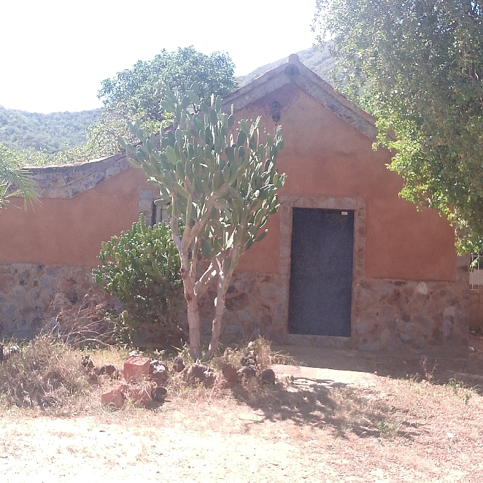 This full-shot photograph captures a rustic, single-story building set against a backdrop of distant hills in El Cercado, Venezuela. The building features reddish-brown stucco walls above a lower section constructed from irregular stone masonry. A dark, rectangular door, framed in a lighter color, is centrally positioned on the front facade. The building has a gabled roofline visible at the top, constructed with a dark material.
No people are present in the image. The foreground consists of dry, earthy ground covered with sparse, parched grass, scattered small rocks, and pieces of broken reddish-brown bricks or pottery. A large, multi-stemmed prickly pear cactus with light green paddles stands prominently in front of the building, slightly to the left of the door. To its left, a dense, green bushy shrub grows against the building's wall. A leafy tree with bright green foliage partially obscures the right side of the building. Further back, more green trees and vegetation are visible against the hilly terrain under a bright sky.
The strong, distinct shadows cast by the cactus and the building suggest it is mid-day or early afternoon, under clear and sunny weather conditions. The arid-looking ground and the presence of cacti are notable cues to the warm, potentially dry climate of the location. No activity or event is taking place, and the scene appears static and peaceful. There is no visible text within the media file.