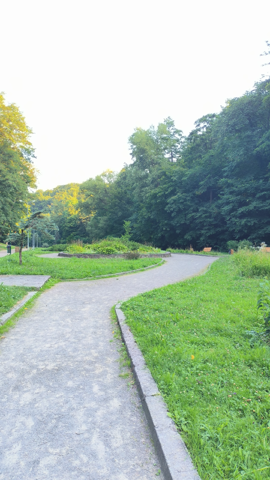 The image depicts a winding gravel path in a park, flanked by lush green grass and bordered by a concrete curb. The path leads through a wooded area with a dense canopy of dark green trees. In the distance, sunlight filters through the leaves, creating a dappled effect. A circular flower bed with various green plants is situated to the left of the path, near a small, slender evergreen tree. Further down the path, to the right, two wooden benches are visible. The sky above is a clear, pale white, suggesting it is daytime. There are no people visible in the image. The setting appears to be a public park in a city, possibly Lviv, Ukraine, given the naturalistic and well-maintained landscape.