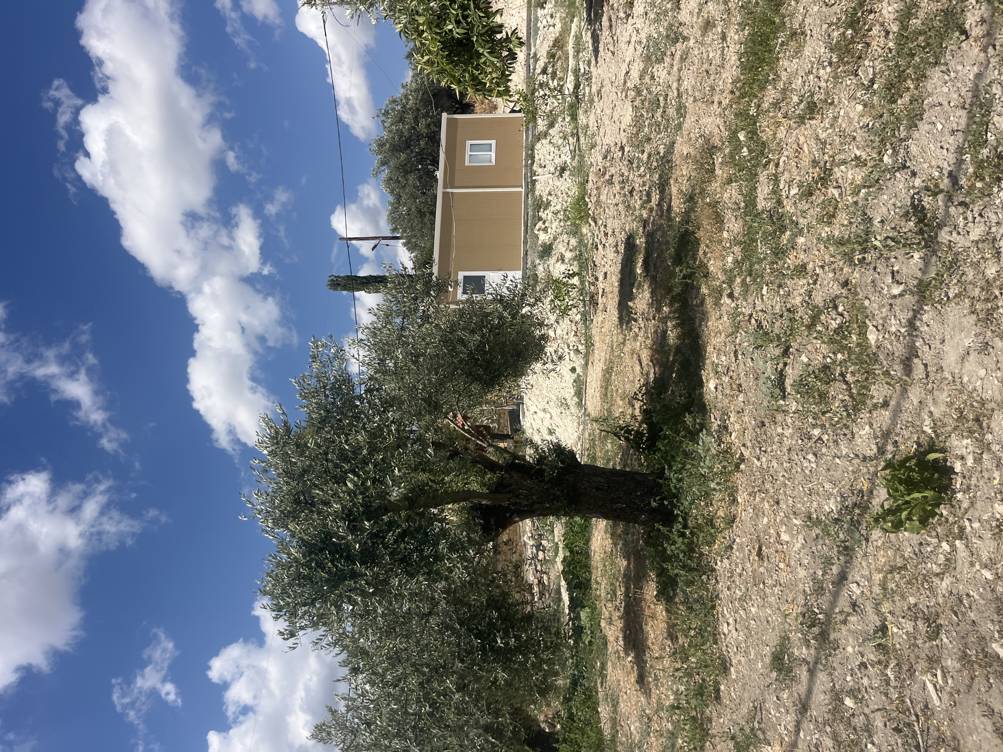 A mobile home, tan in color with white trim, is situated in a rural setting under a bright blue sky with scattered white clouds. The mobile home has one door and one window. In front of the mobile home, an olive tree with a thick, gnarled trunk stands prominently in the foreground, casting a shadow on the dry, rocky ground. The landscape is characterized by sparse vegetation, with small green plants and dry grasses growing between the rocks. In the background, more trees and vegetation are visible, along with utility poles and wires. The overall impression is one of a simple, rustic dwelling in a dry, Mediterranean climate, possibly in or around the village of Silikou, Cyprus, given the characteristic olive trees and arid landscape.
