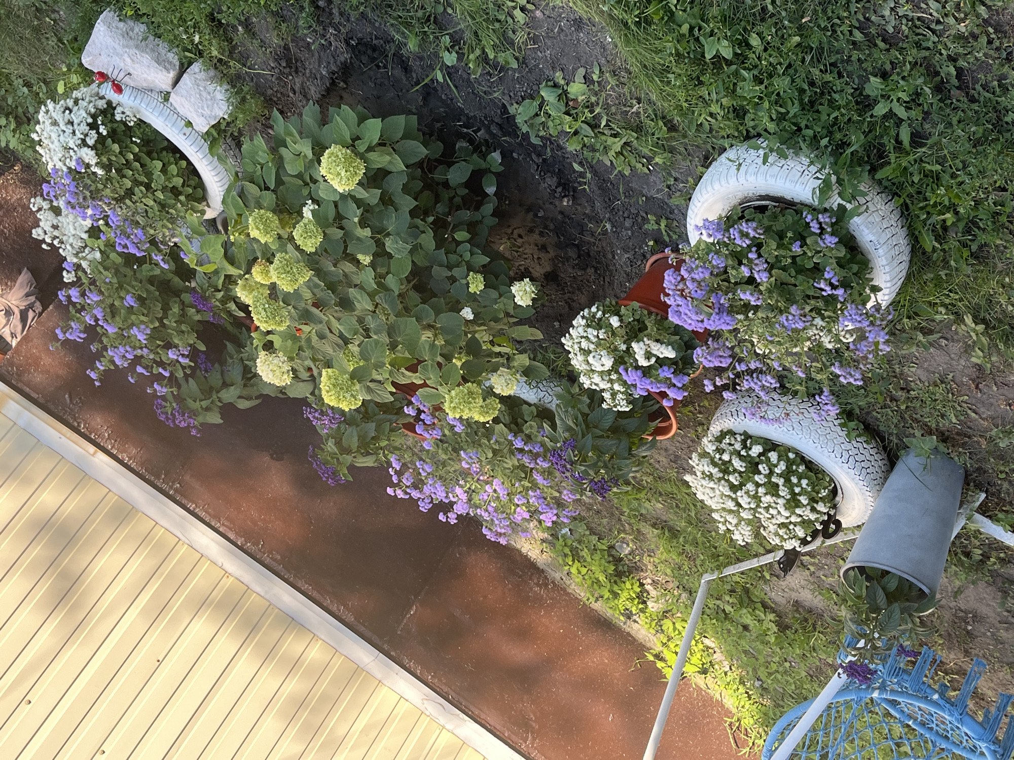 A vertical, high-angle photograph shows a garden bed next to a light yellow corrugated metal wall, likely a shed or garage. The garden bed contains various flowering plants. In the foreground, a blue woven chair is partially visible on the left. Next to it is a grey cylindrical planter with green plants and purple flowers. Further back and to the right, a white-painted tire is filled with white flowers, and another tire, also white, contains purple flowers. Behind these, a large green bush with clusters of light green and white flowers dominates the center of the image. A dark brown, possibly wooden, retaining wall or ground cover runs along the base of the metal wall. The garden bed itself is dark soil with scattered green grass and other low-lying plants. The scene appears to be an outdoor residential garden.