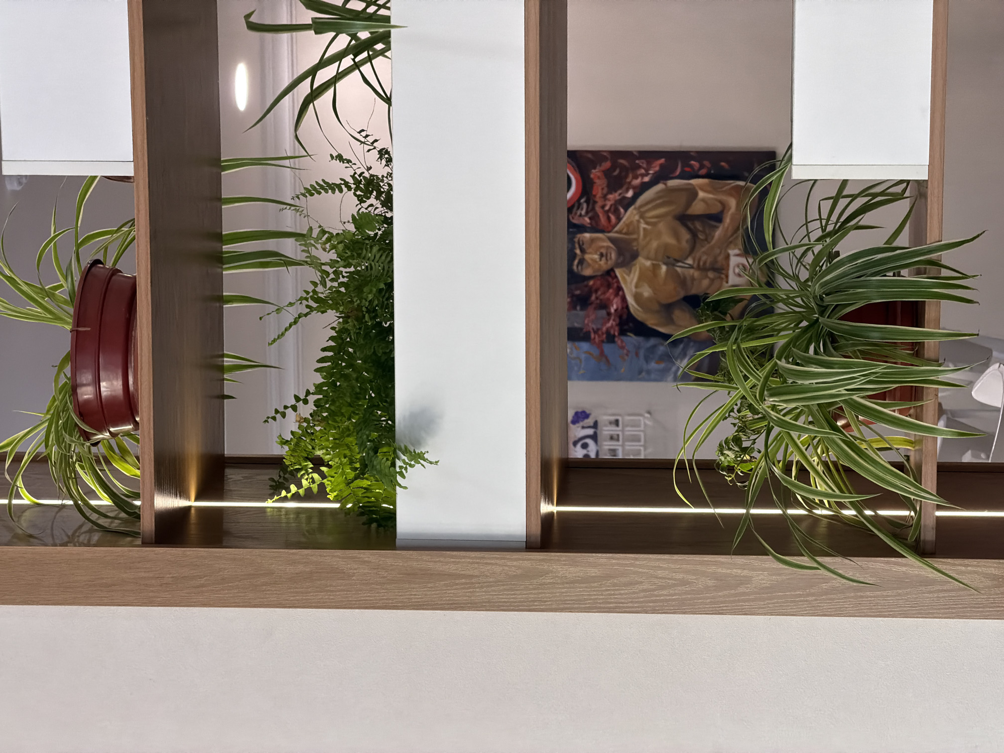 The image shows a modern interior shelving unit with several plants and a framed painting. The shelving unit is made of light-colored wood and features integrated LED lighting strips that illuminate the shelves.
On the top shelf, a spider plant in a dark red pot is visible. Below this, a white rectangular planter is filled with lush green ferns. On the shelf below that, a painting of Bruce Lee is displayed, with his muscular torso prominently featured. Another spider plant, in a similar dark red pot, sits on the lowest visible shelf.
The background consists of a white wall and what appears to be part of another shelving unit or wall panel on the right. The overall aesthetic is clean, contemporary, and suggests a well-decorated living space. The image does not provide any information about its specific location in Tashkent, Uzbekistan.