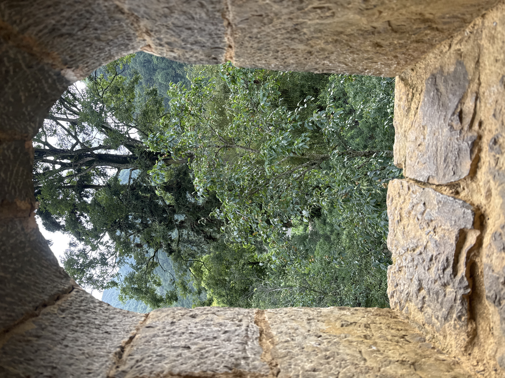 The image, taken in Sà Phìn Commune, Vietnam, presents a view of lush greenery, including trees, as seen through a stone window or opening. The window frame, constructed of roughly hewn stones, occupies the foreground. The vegetation extends beyond the opening, suggesting a landscape of dense foliage and hills.
