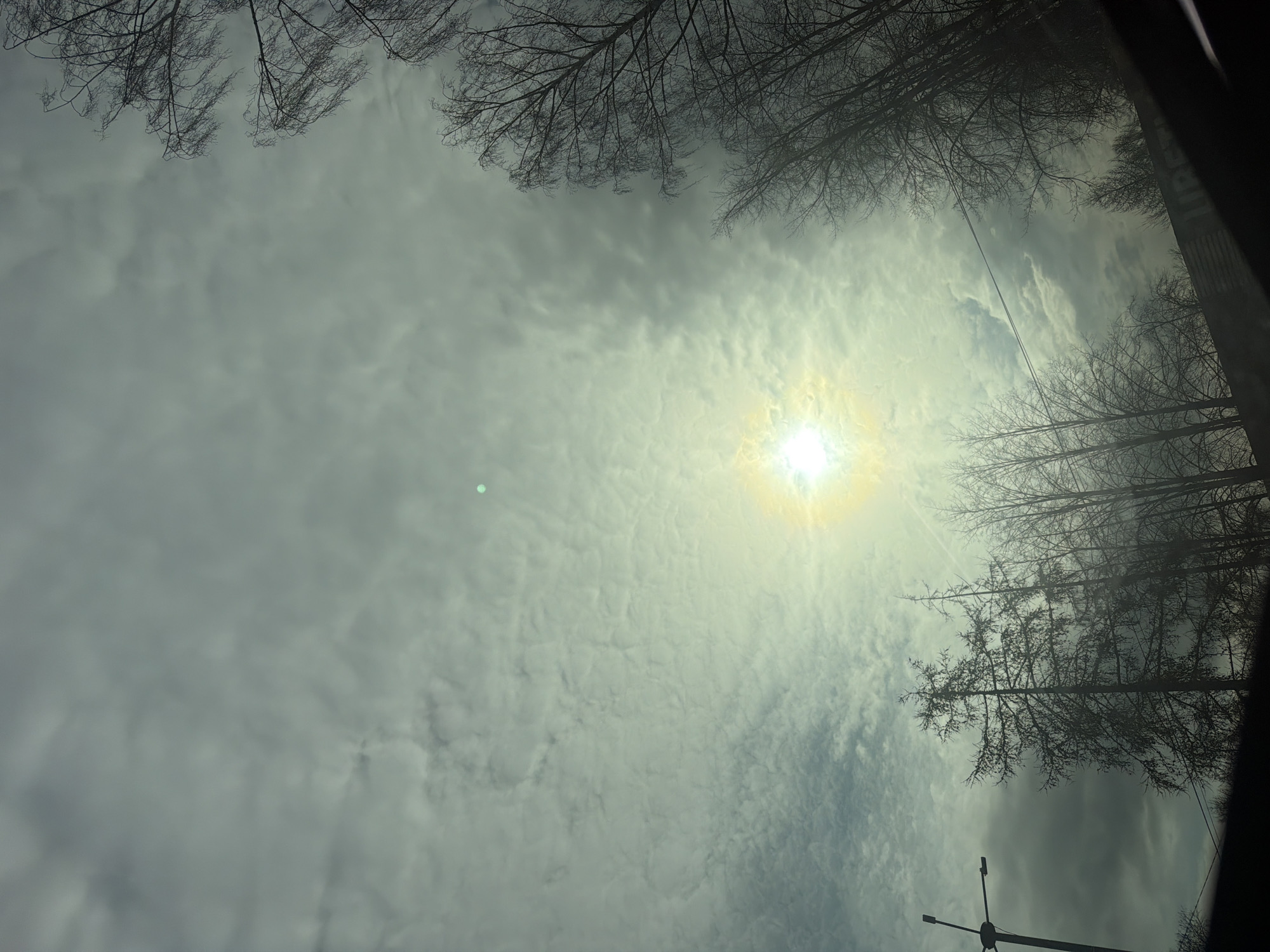 The image shows a sky view in the city of Chaikovsky, Russia. Bare tree branches frame the top and right edges of the image. A cloudy, overcast sky fills the majority of the frame, with the sun visible as a bright point obscured by the clouds. In the lower right corner, a portion of a street light pole is visible. The scene suggests an urban environment in the late fall or winter season, with the sun providing limited illumination through the clouds.