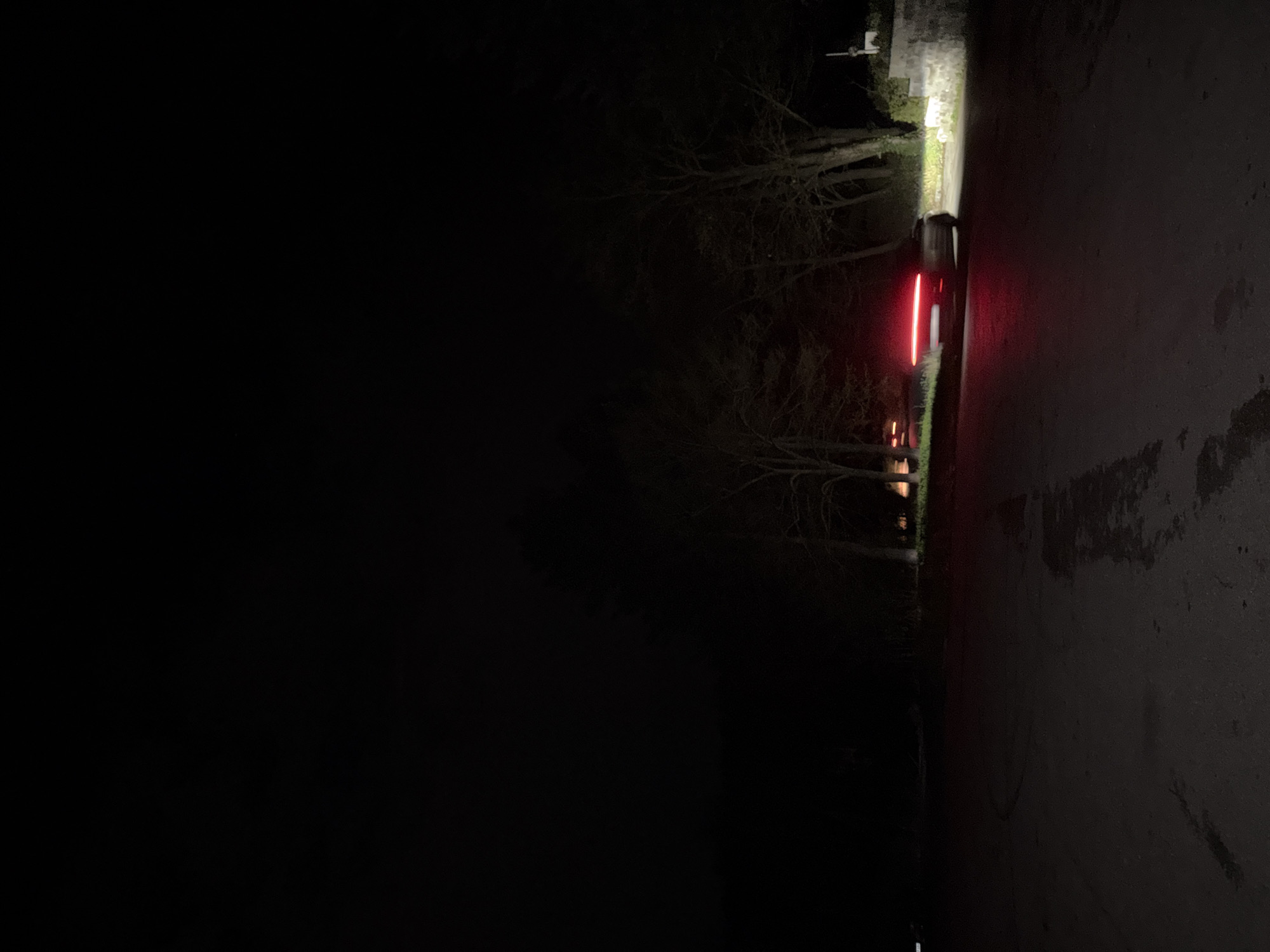 The image, taken at night, depicts a dark and possibly overgrown area. The right side of the image shows a concrete or paved surface. A vehicle is partially visible, with its rear lights illuminated in red. The surrounding environment is obscured by darkness, but trees are discernible. The location is unidentifiable as Pleven, Bulgaria based on the context.