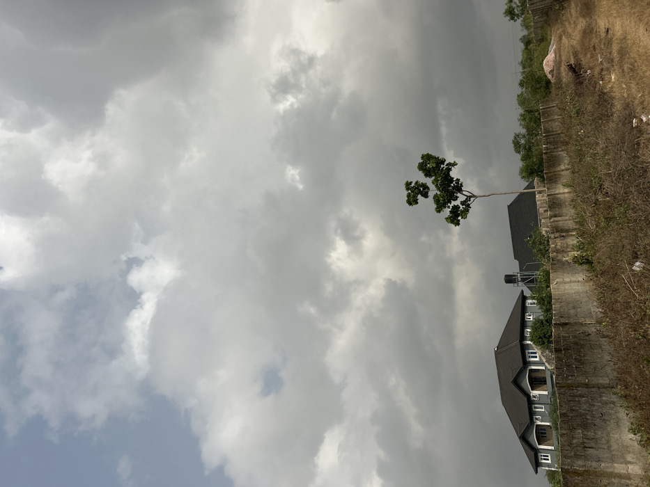 This image captures an outdoor scene in Ilishan, Nigeria, under a predominantly cloudy sky with patches of brighter light visible through the cloud cover. The foreground presents unkempt, dry ground covered with sparse brown and green vegetation and visible debris. A weathered concrete block wall, approximately 1.5 meters high, spans horizontally across the lower mid-ground. Behind this wall, to the left, stands a modern single-story residence with a grey facade, white-trimmed windows, and a dark grey gabled roof, featuring a prominent entrance with columns. A black water tank on a metal stand is visible between this house and a partially obscured second building with a similar dark roof. A slender, medium-height tree with green foliage is positioned in the mid-ground, to the right of the primary residence, behind the wall. The distant background consists of a line of green trees and vegetation. No individuals, vehicles, or specific activities are discernible.