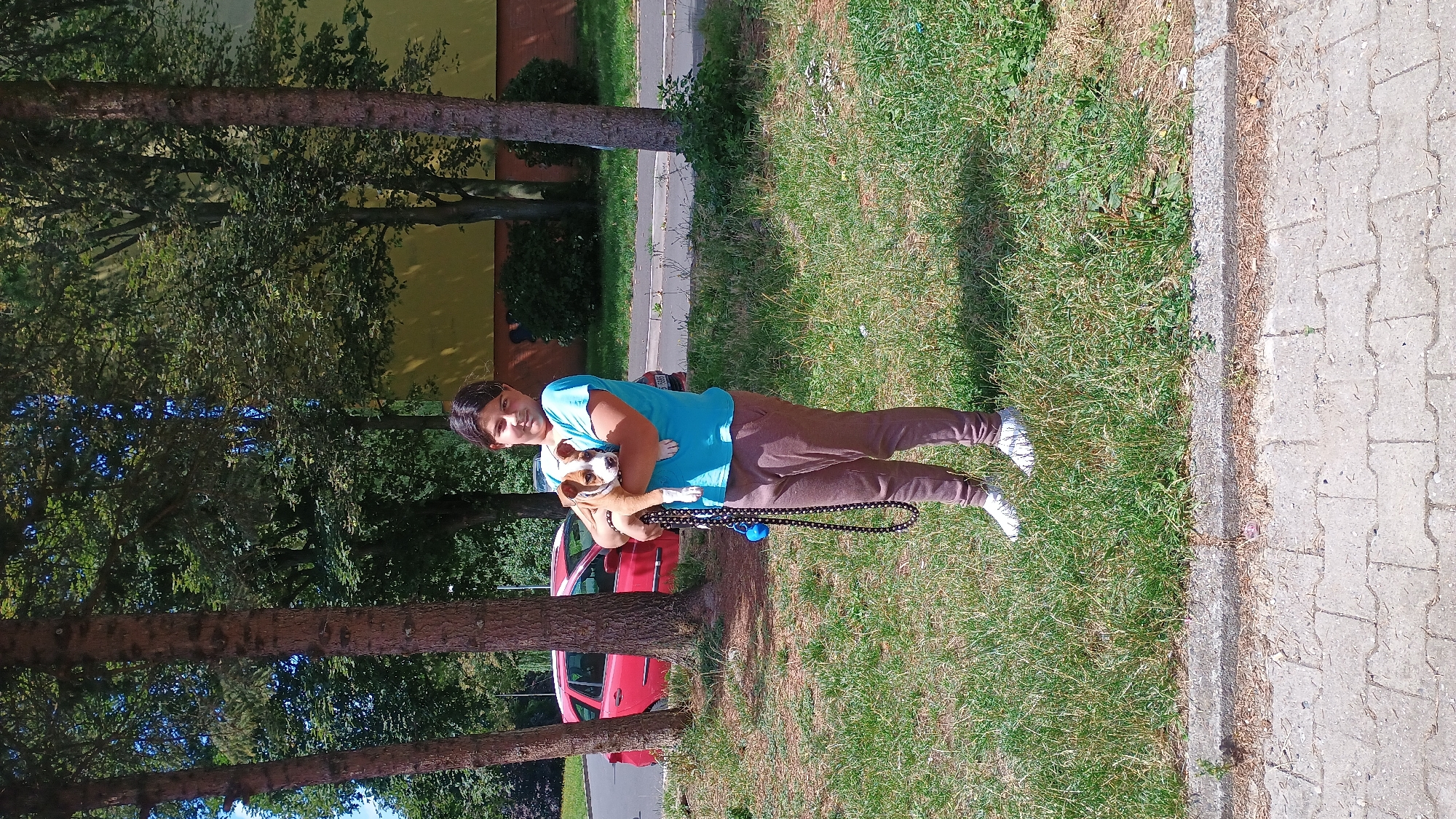 A young girl with dark hair stands on a grassy area next to a paved walkway and sidewalk. She is wearing a blue t-shirt and brown pants, and white sneakers. She is holding a small brown and white dog in her arms. The dog has a black leash with a blue ball attachment hanging from it, held by the girl. Behind her, there are several trees, a red car parked on a street, and a building. The scene appears to be in an urban environment in Sokolov, Czechia, likely a residential area given the presence of trees and a car. The lighting suggests it is daytime.