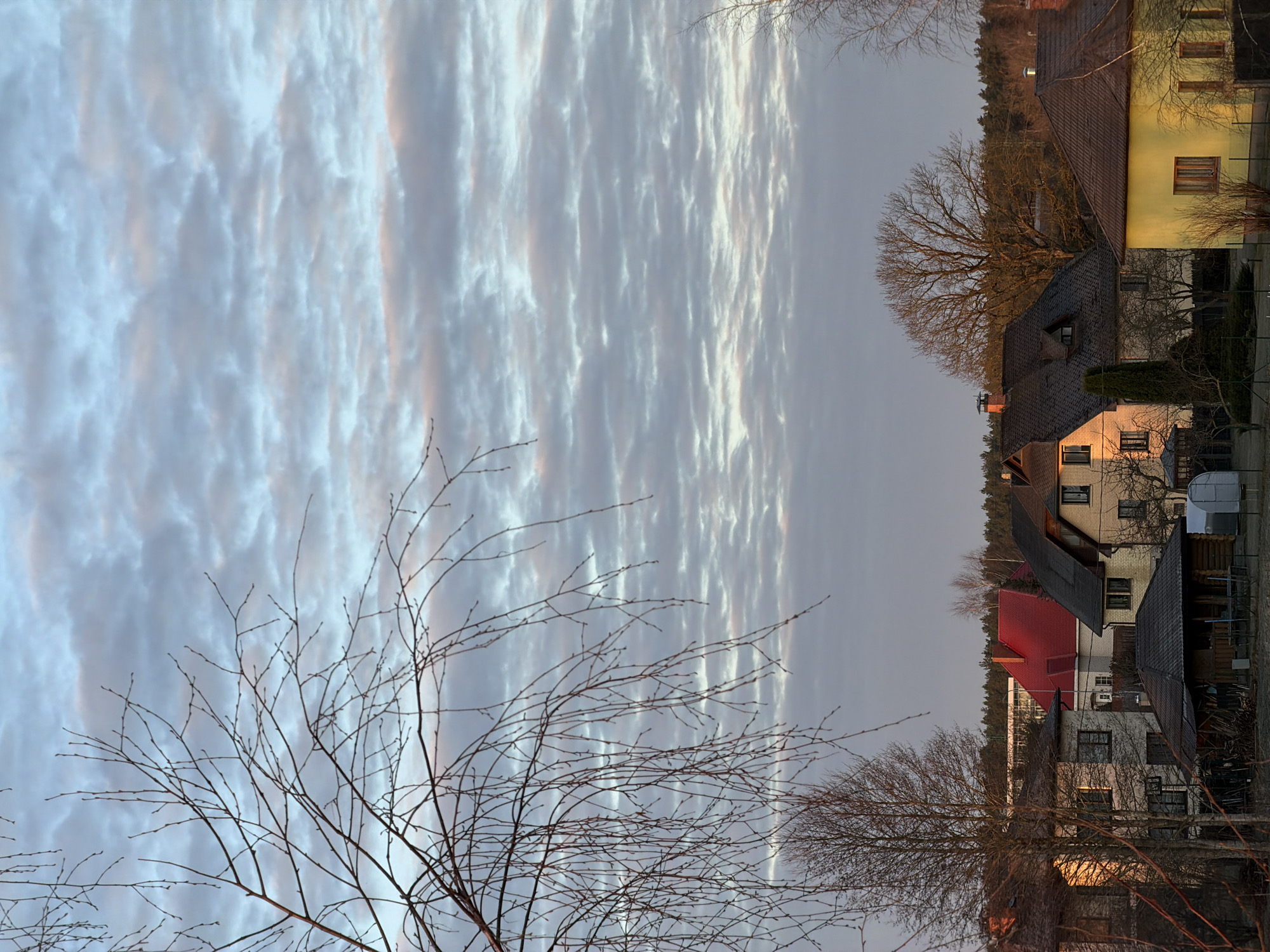 The image captures a residential scene in Dreiliņi, Latvia, during twilight or dawn. The foreground features bare tree branches against a sky filled with altocumulus clouds streaked with pink and gray hues. The middle ground comprises houses with varying roof colors (red, dark gray, brown) and facades (yellow, brick). Windows on some houses reflect a warm light, suggesting interior illumination or sunrise/sunset glow. The background hints at a line of trees along the horizon.