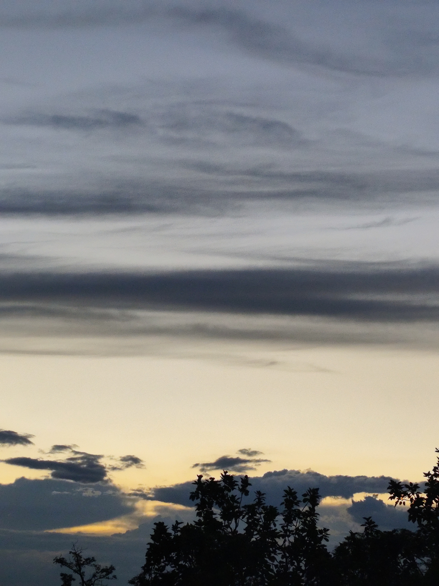 The image depicts a sky with distinct cloud layers at sunset, viewed from a silhouetted treeline. The upper portion of the sky is a muted grey, transitioning to lighter grey and then a soft yellow-orange hue near the horizon. Darker, horizontal bands of clouds are visible, creating a layered effect. The bottom of the image shows the dark silhouettes of trees and foliage against the lighter sky. This scene is captured in Zielona Góra, Poland. There are no people or discernable actions visible in the image.